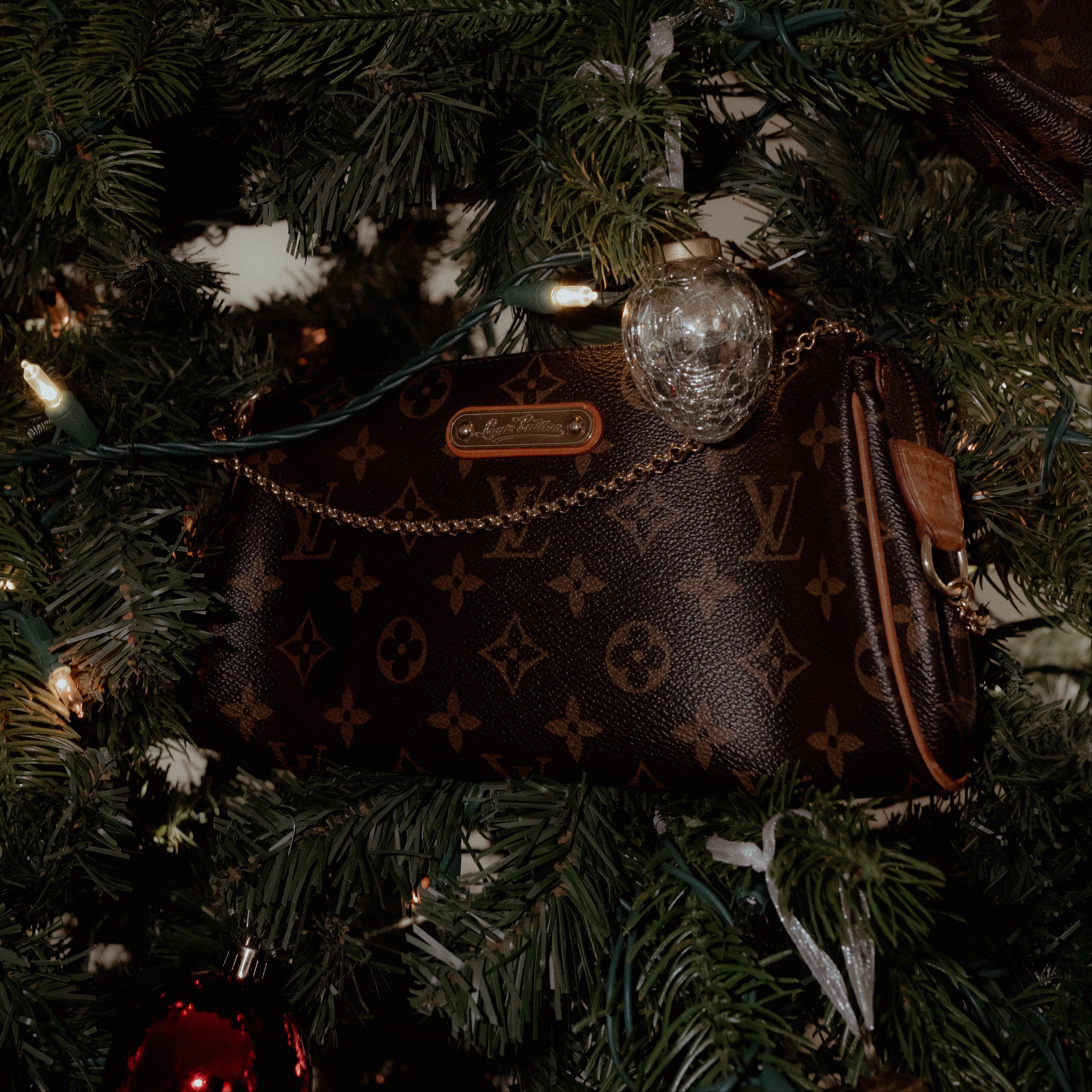 Louis Vuitton Monogram Eva - Queen May
