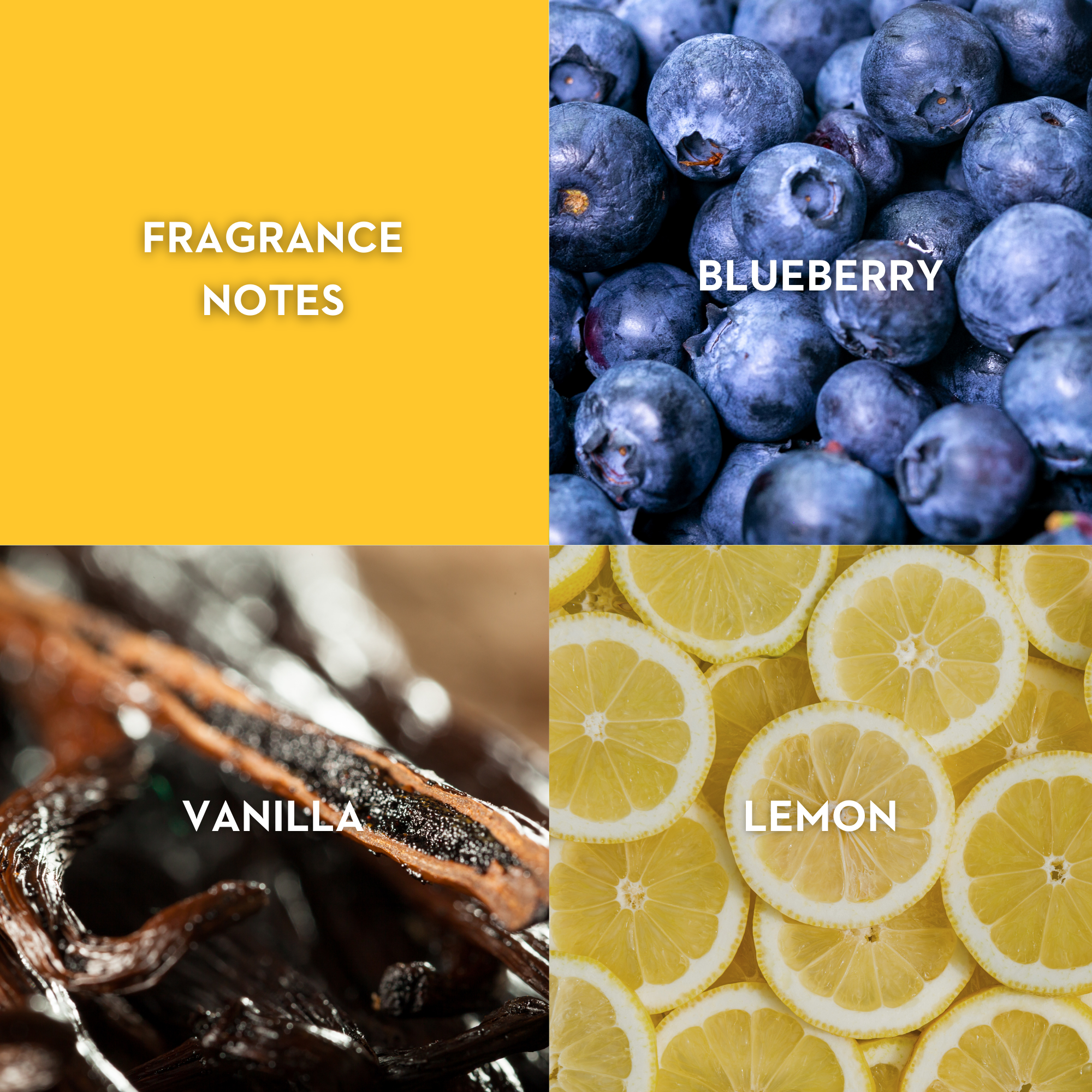 Vilhelm Parfumerie Poets of Berlin Eau de Parfum - Queen May