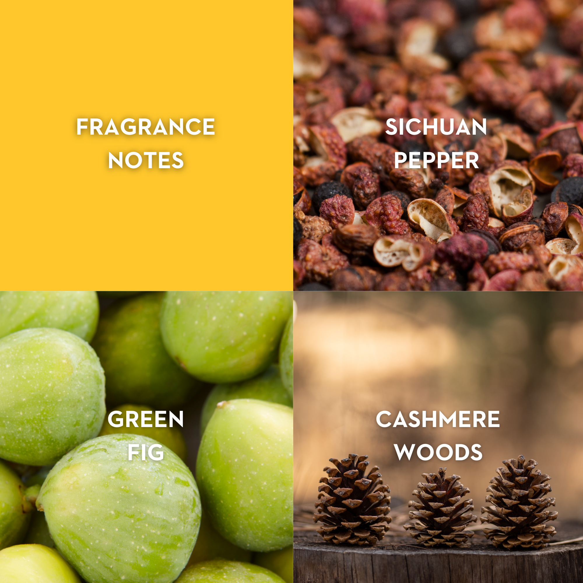 Vilhelm Parfumerie Purple Fig Eau de Parfum, 100 ML - Queen May