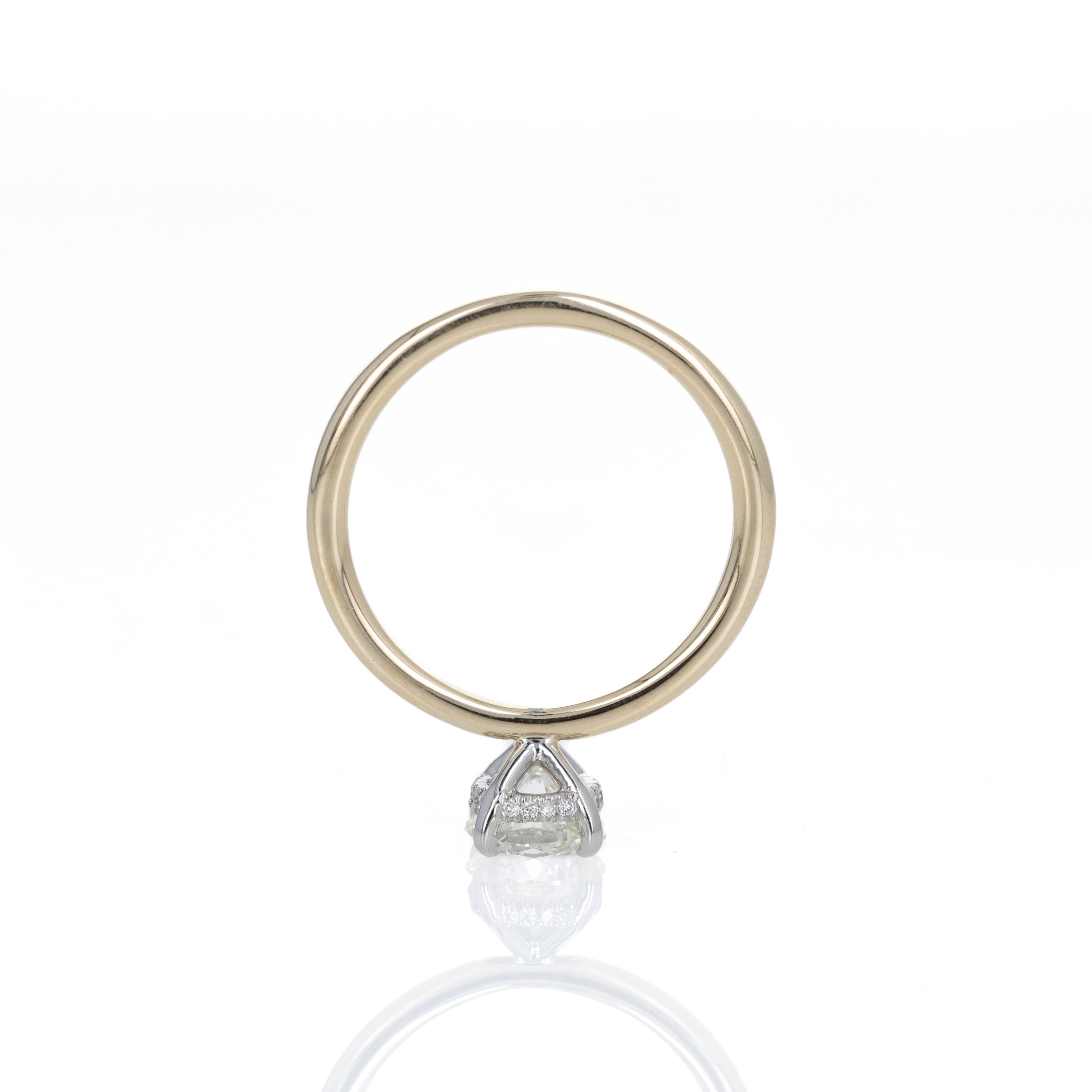 1.02 Carat Round Brilliant Diamond Hidden Halo Engagement Ring - Queen May