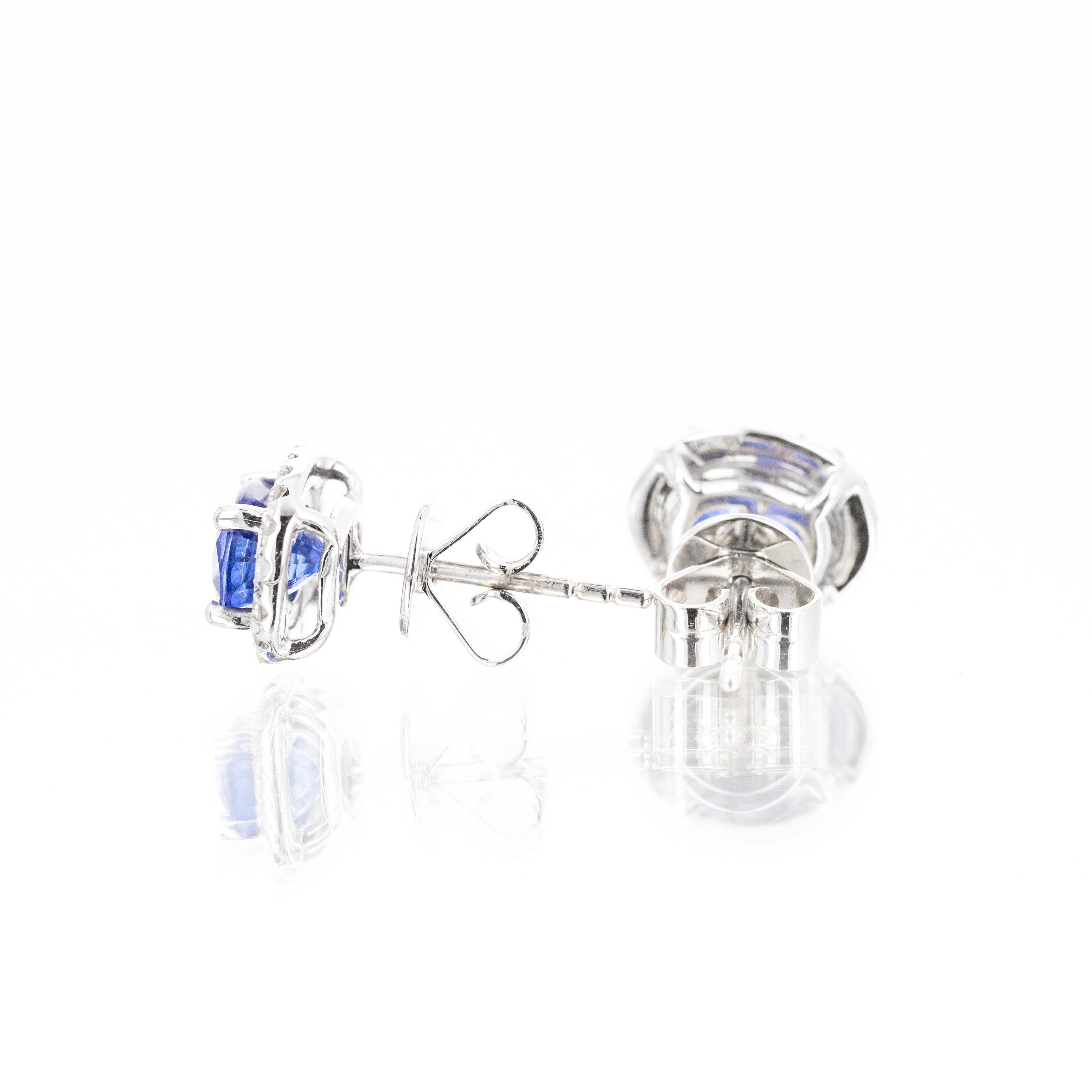 18K White Gold 2.14 Carat Oval Sapphire Diamond Halo Stud Earrings - Queen May
