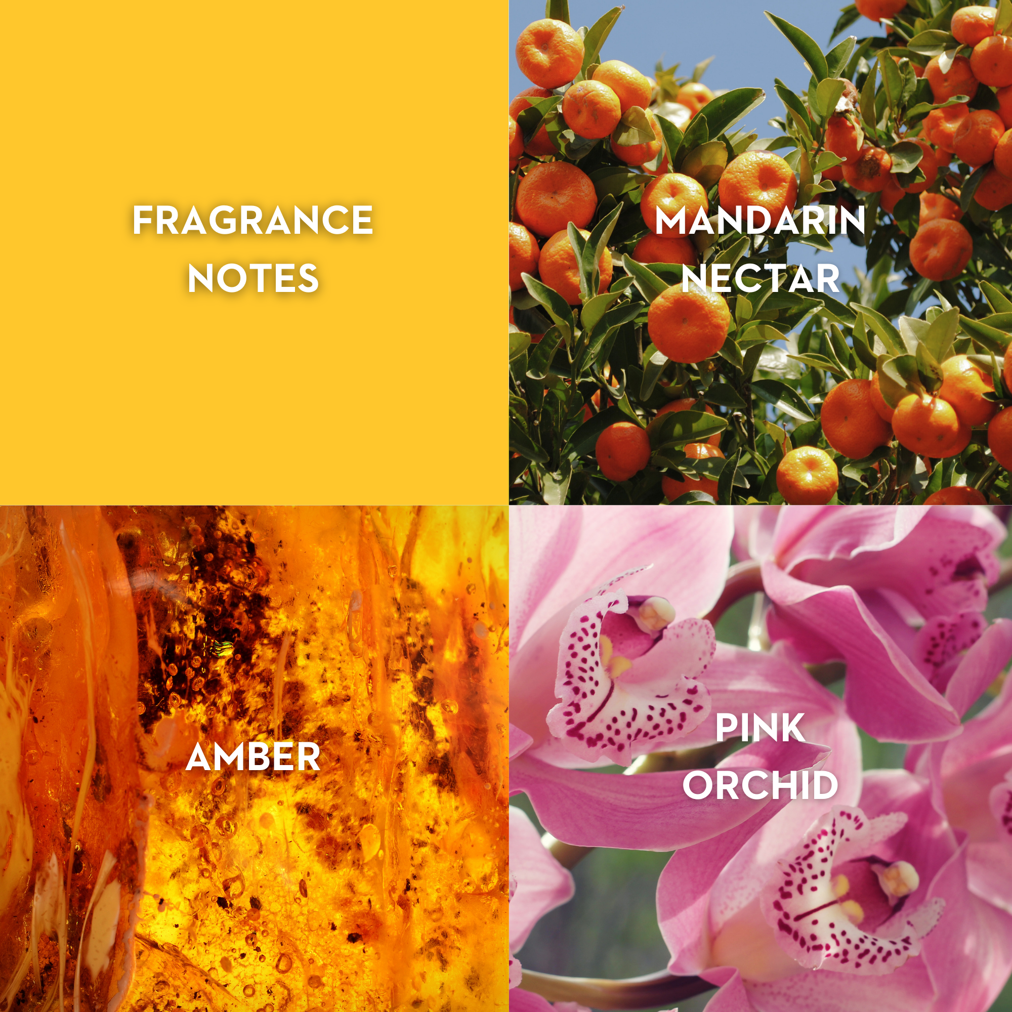 Vilhelm Parfumerie Room Service Eau de Parfum - Queen May