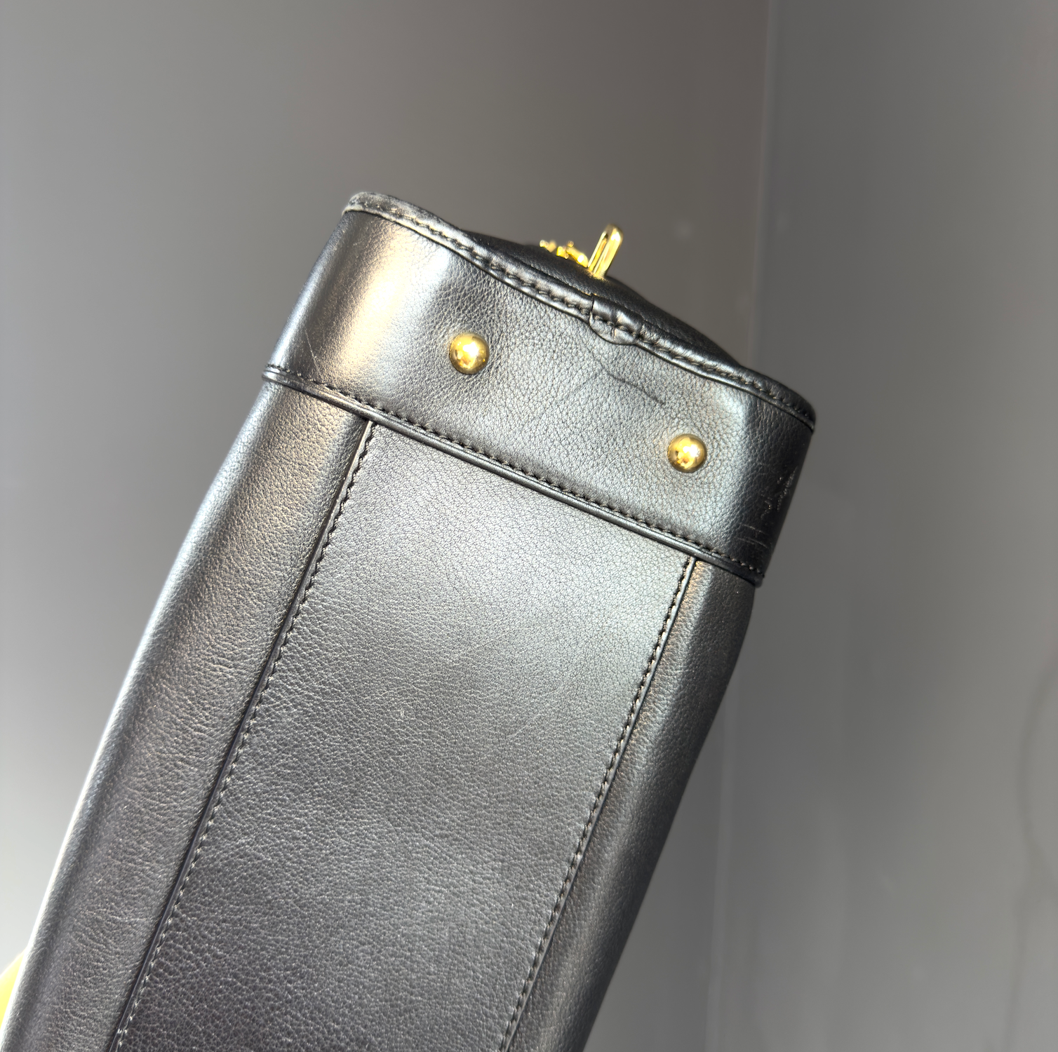 Loewe Leather Amazona 28 - Queen May