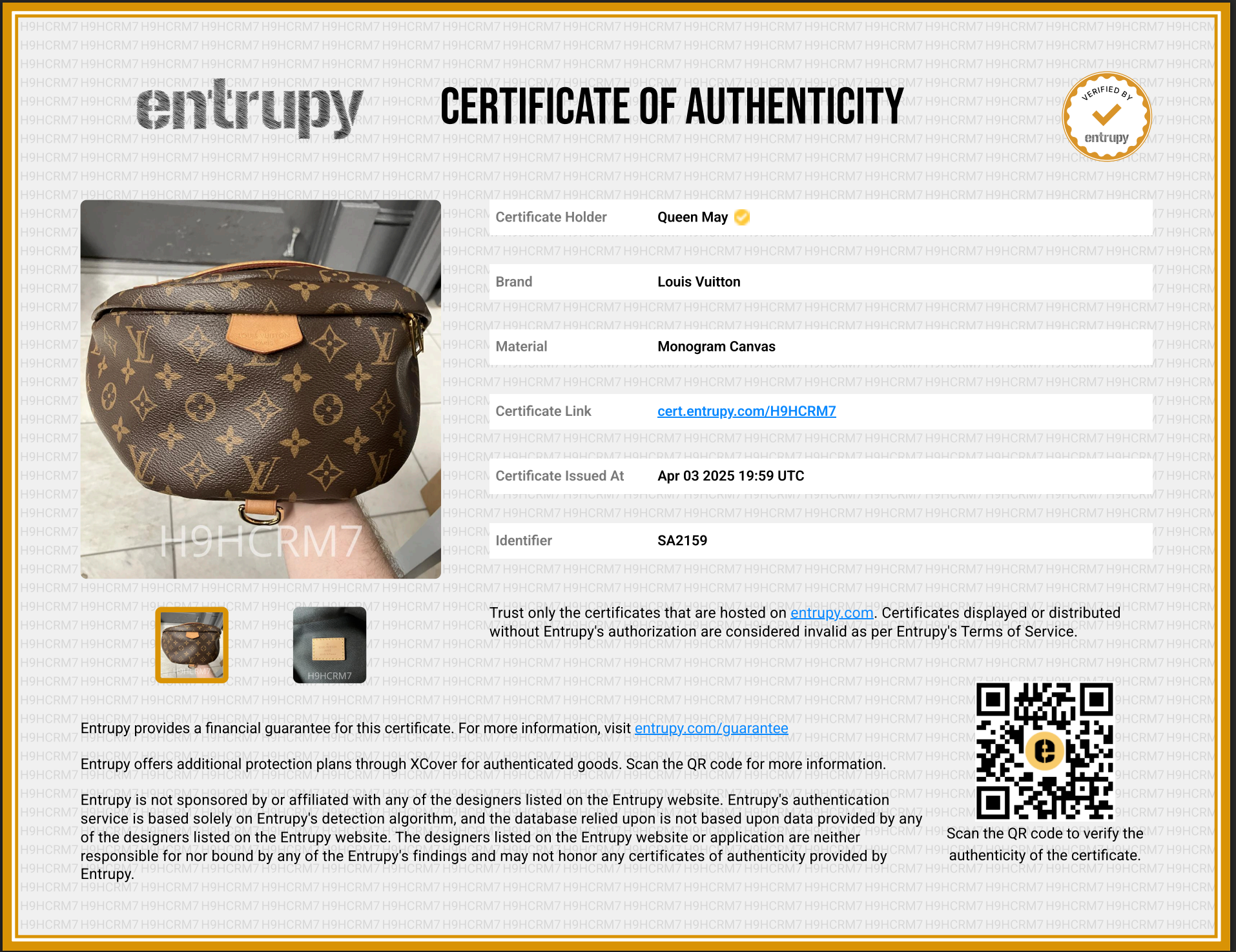 Louis Vuitton Monogram Bumbag - Queen May
