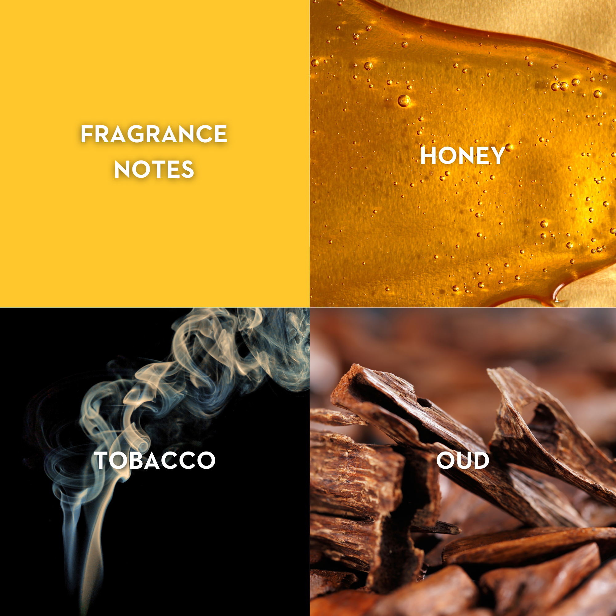 Vilhelm Parfumerie The Oud Affair Eau de Parfum 50 ML - Queen May