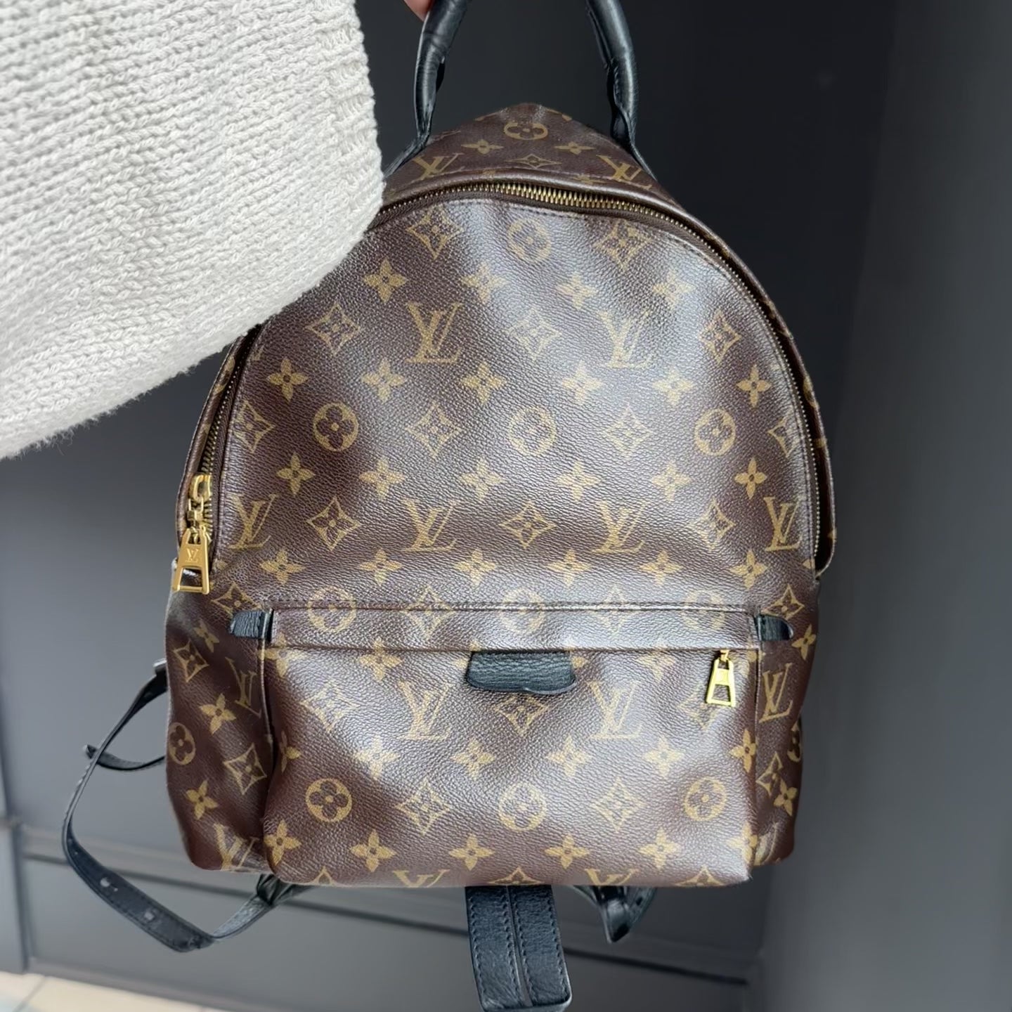 Louis Vuitton Monogram Palm Springs MM Backpack - Queen May
