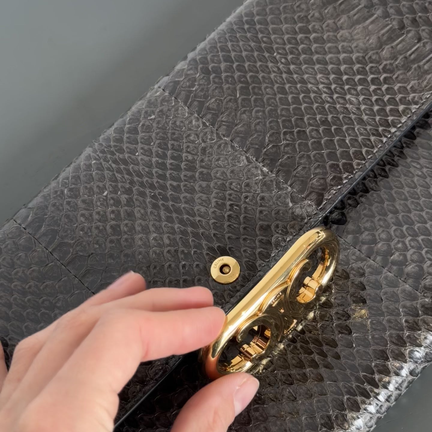 Celine Maillon Python Clutch - Queen May