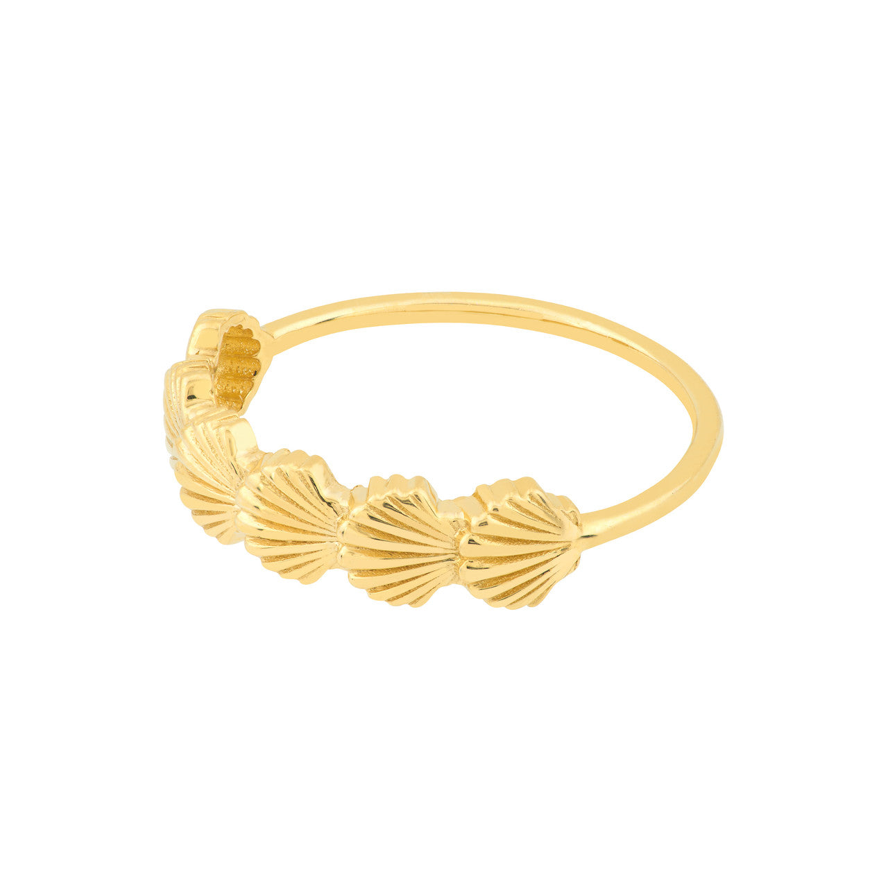 14K Yellow Gold Scallop Seashell Ring - Queen May