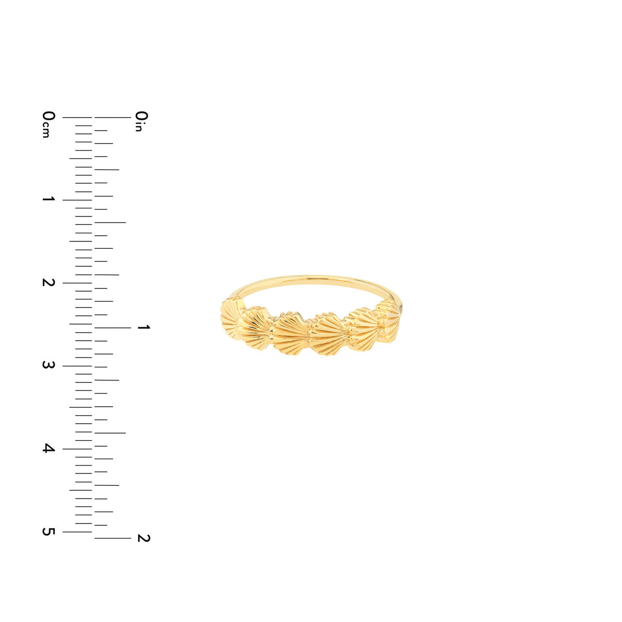 14K Yellow Gold Scallop Seashell Ring - Queen May