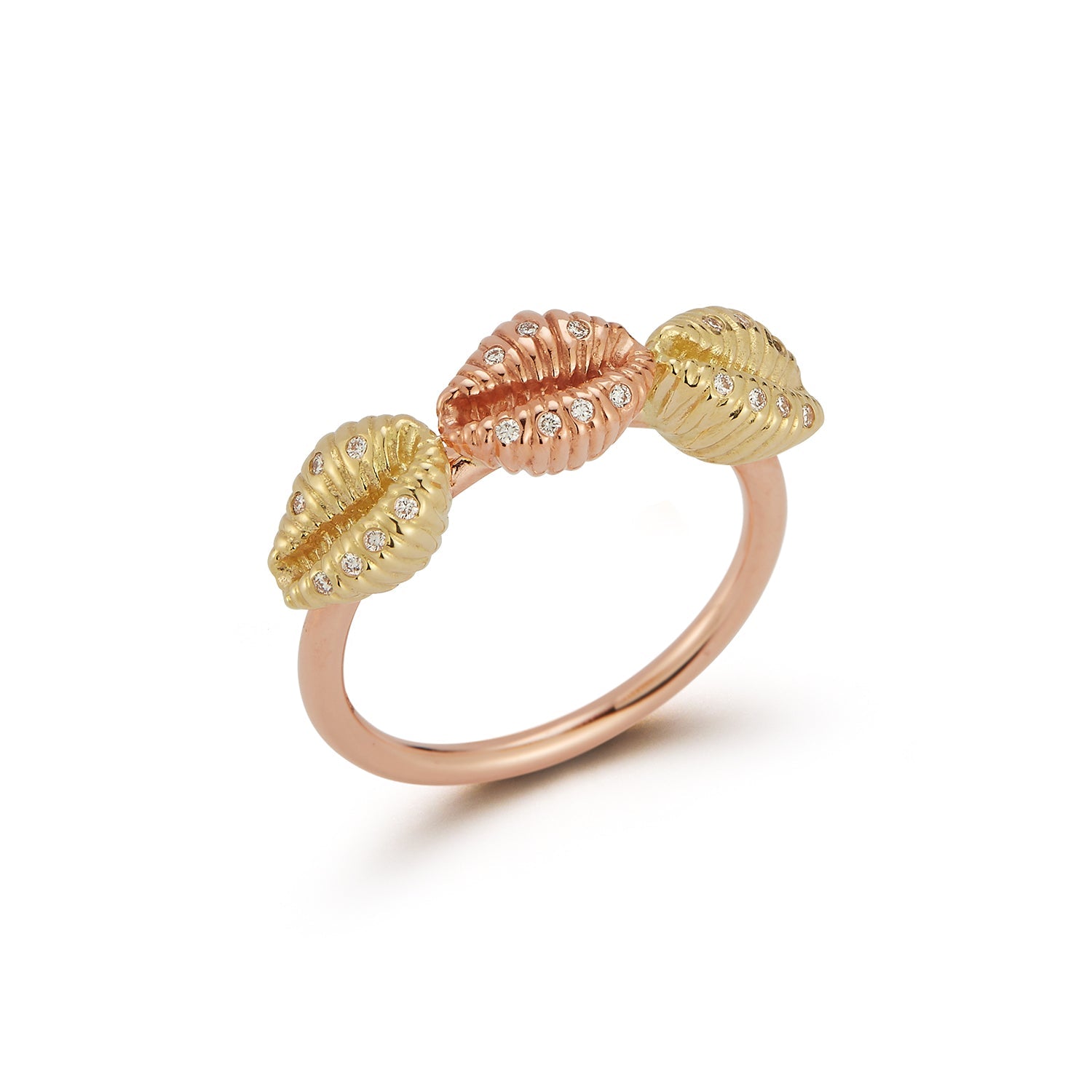 Renna Three Baby Shells with Diamonds - Queen May
