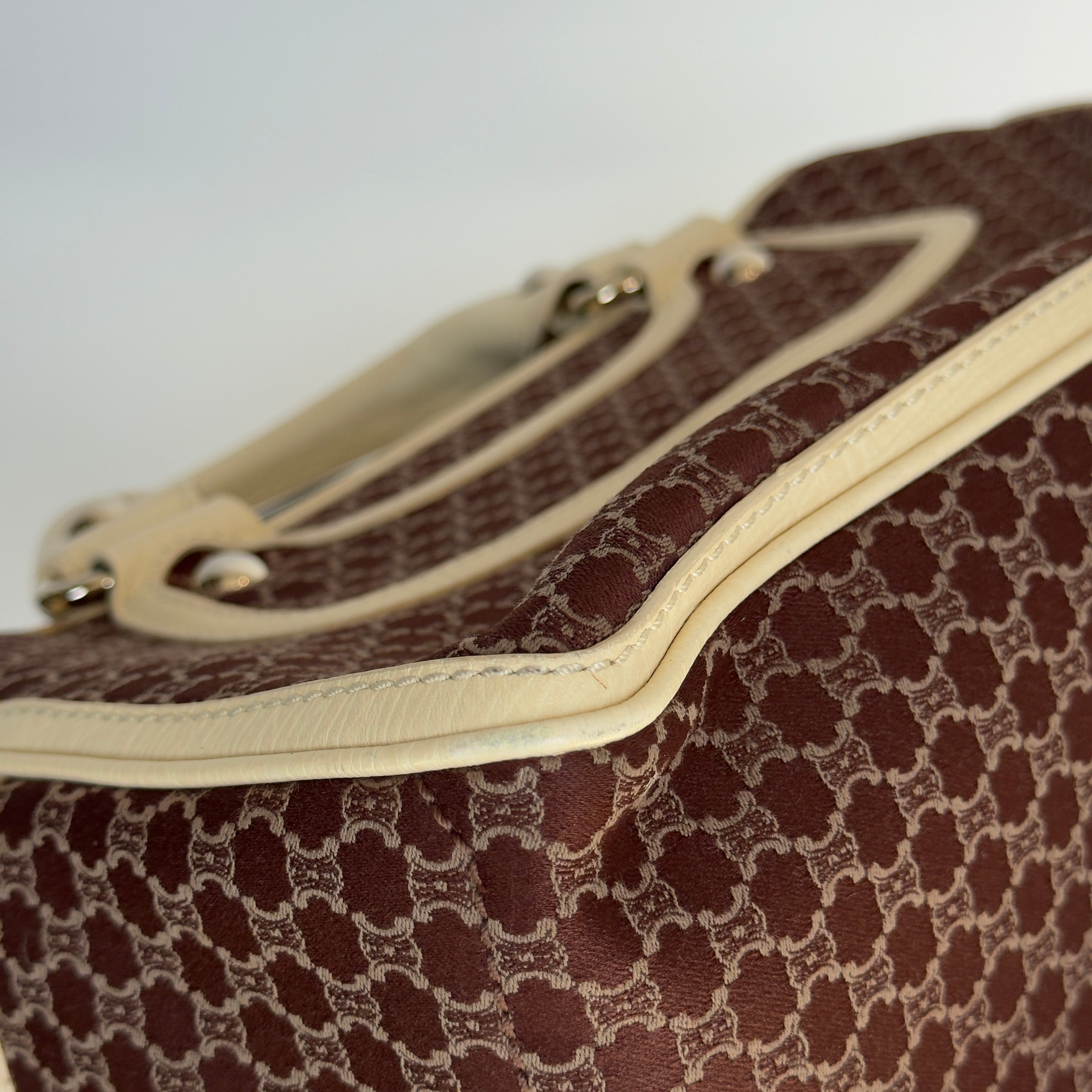 Celine Triomphe Canvas Boogie Bag