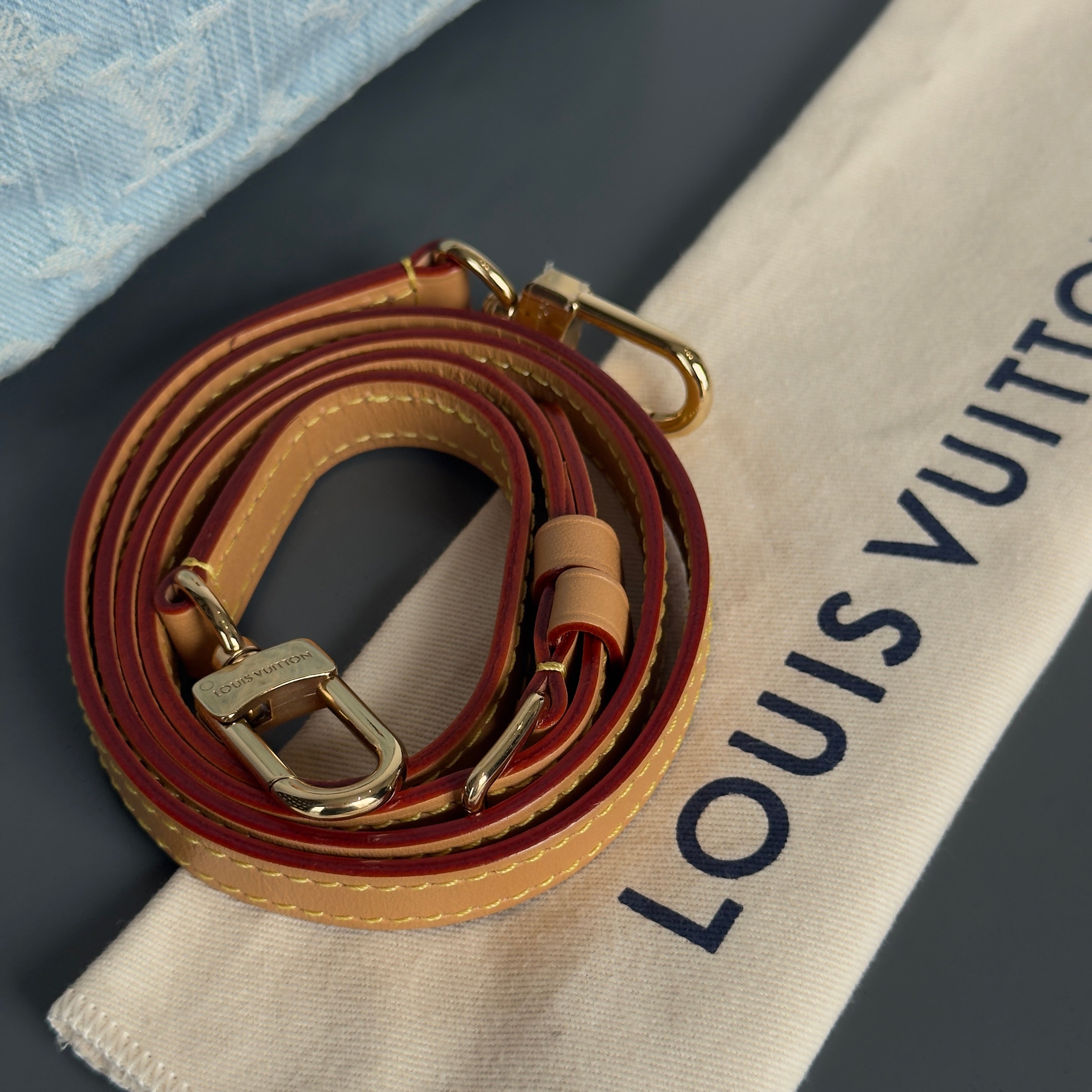 Louis Vuitton Denim Monogram Speedy Nano