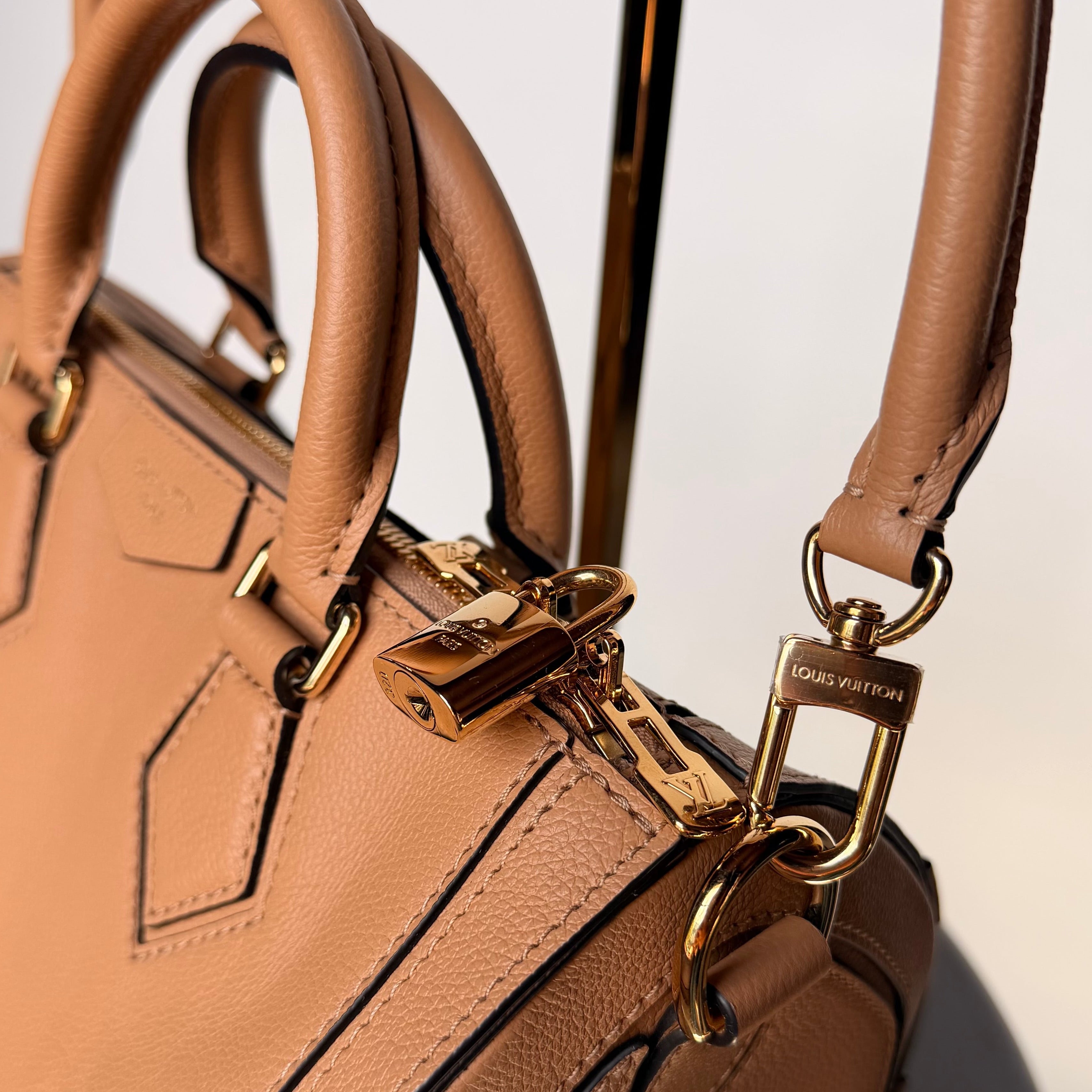 Louis Vuitton Speedy 25 Silhouette