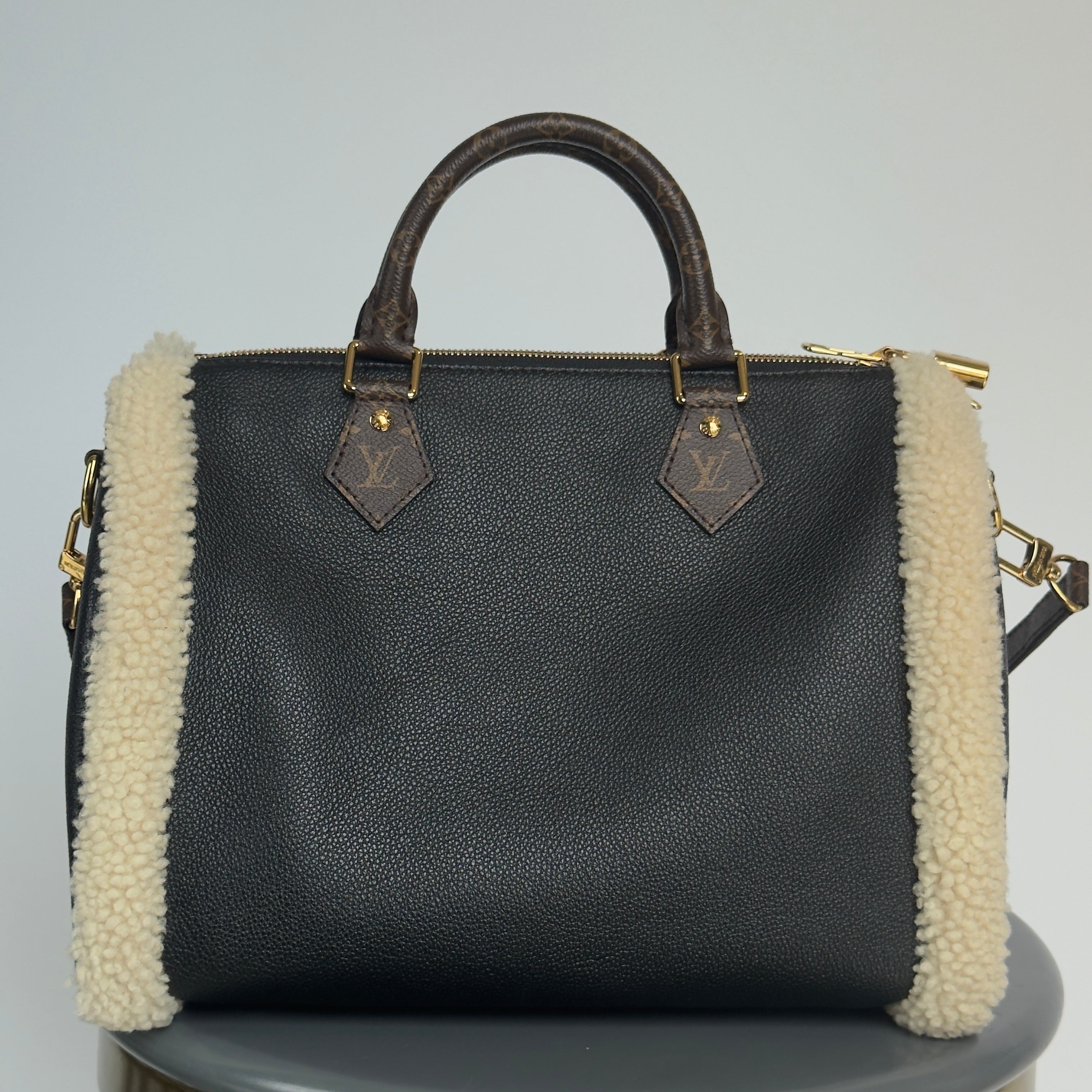 Louis Vuitton Teddy Speedy 30 - Queen May