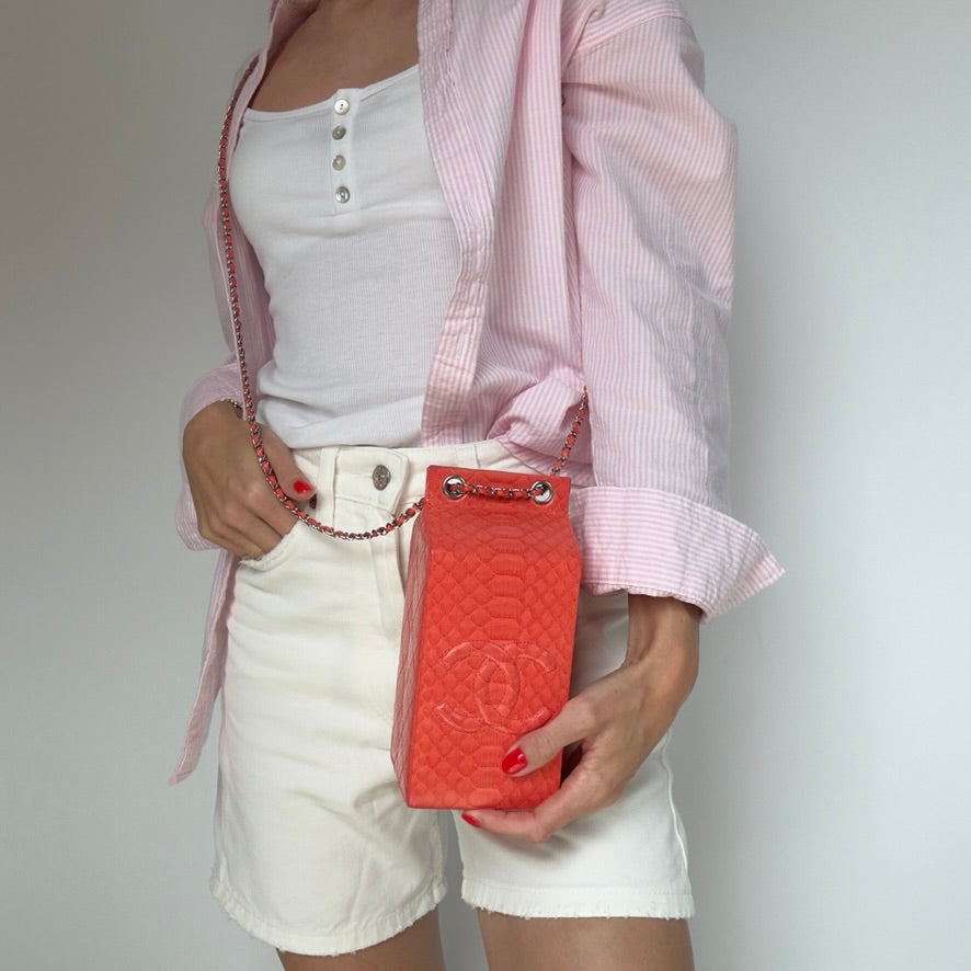 Chanel Python Milk Carton Bag Fall 2014 - Queen May