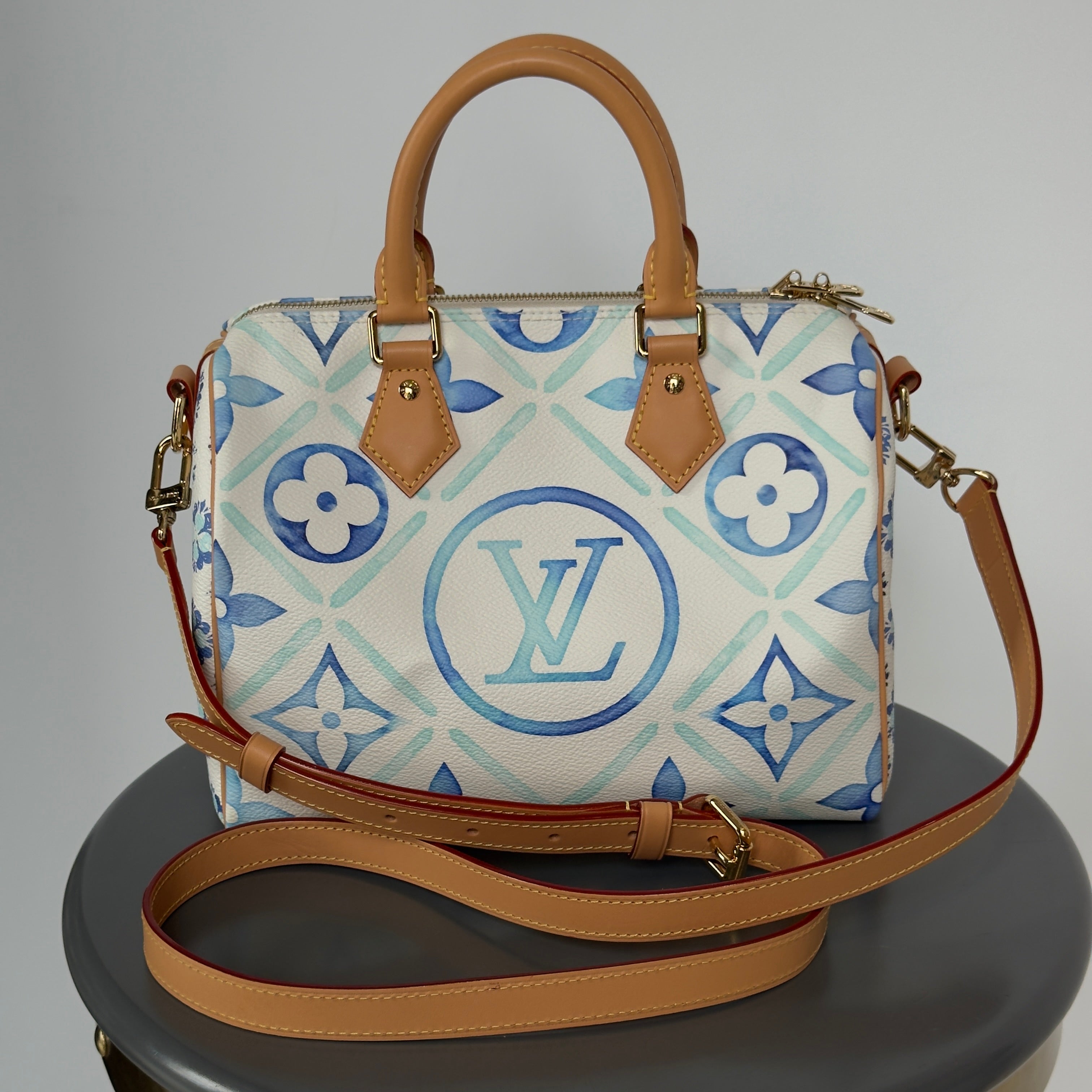 Louis Vuitton Speedy 25 Bandouliere By The Pool - Queen May