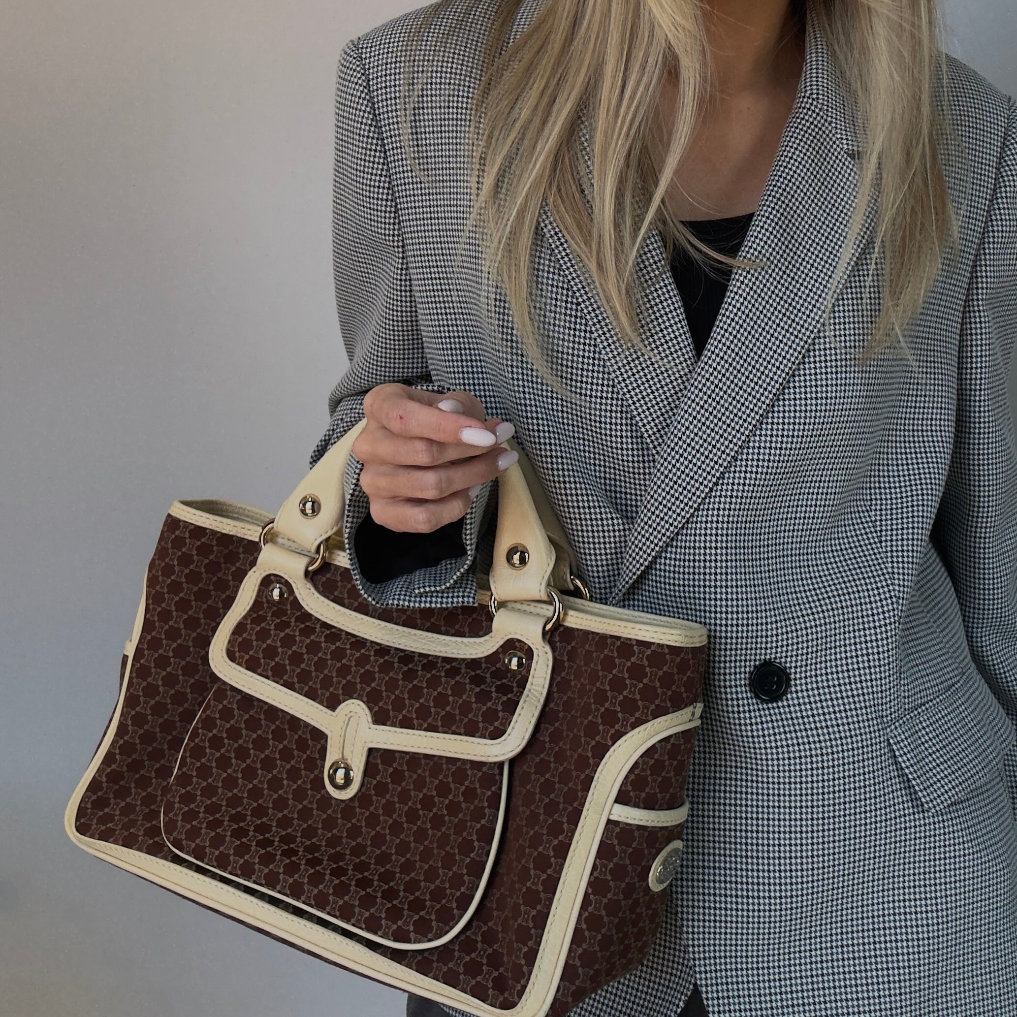 Celine Triomphe Canvas Boogie Bag