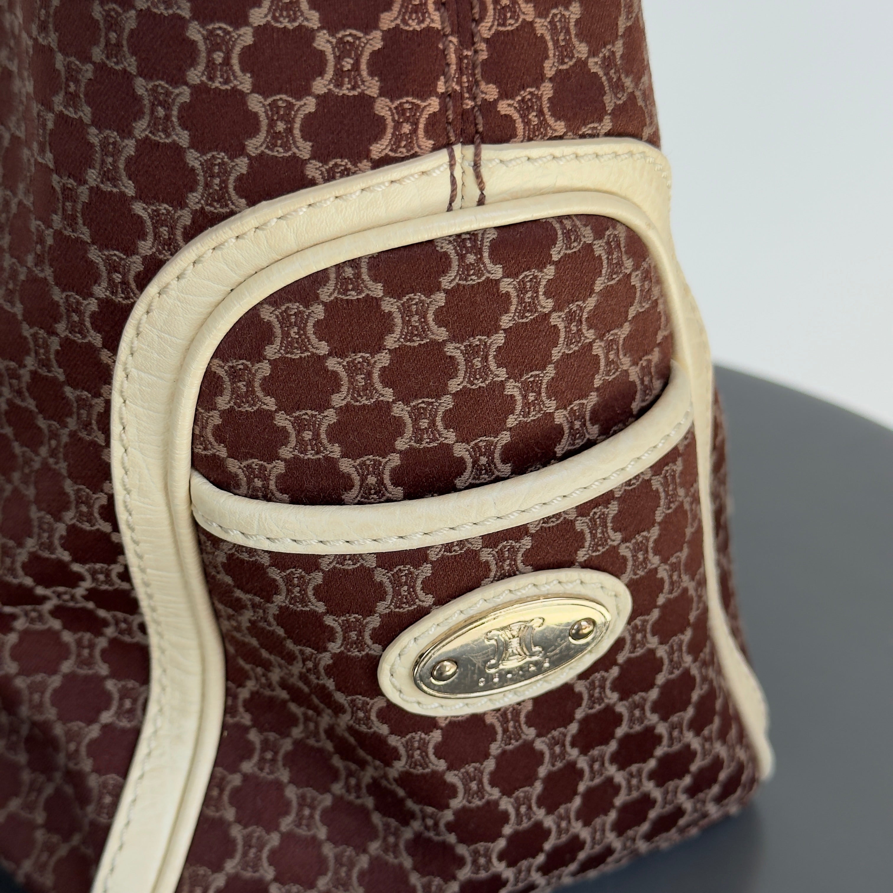 Celine Triomphe Canvas Boogie Bag