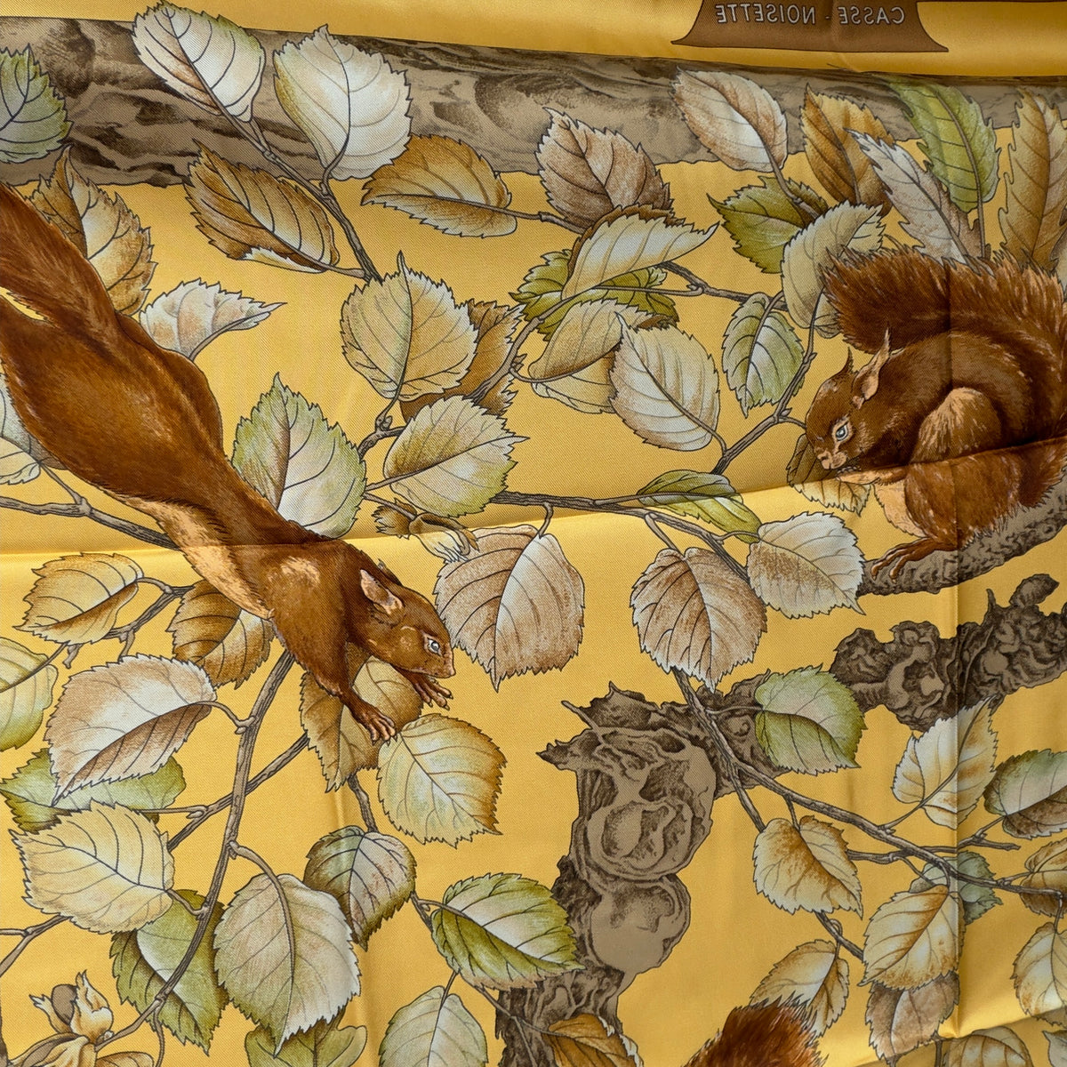 Rare Hermes Carré 90 Casse-Noisette Silk Scarf