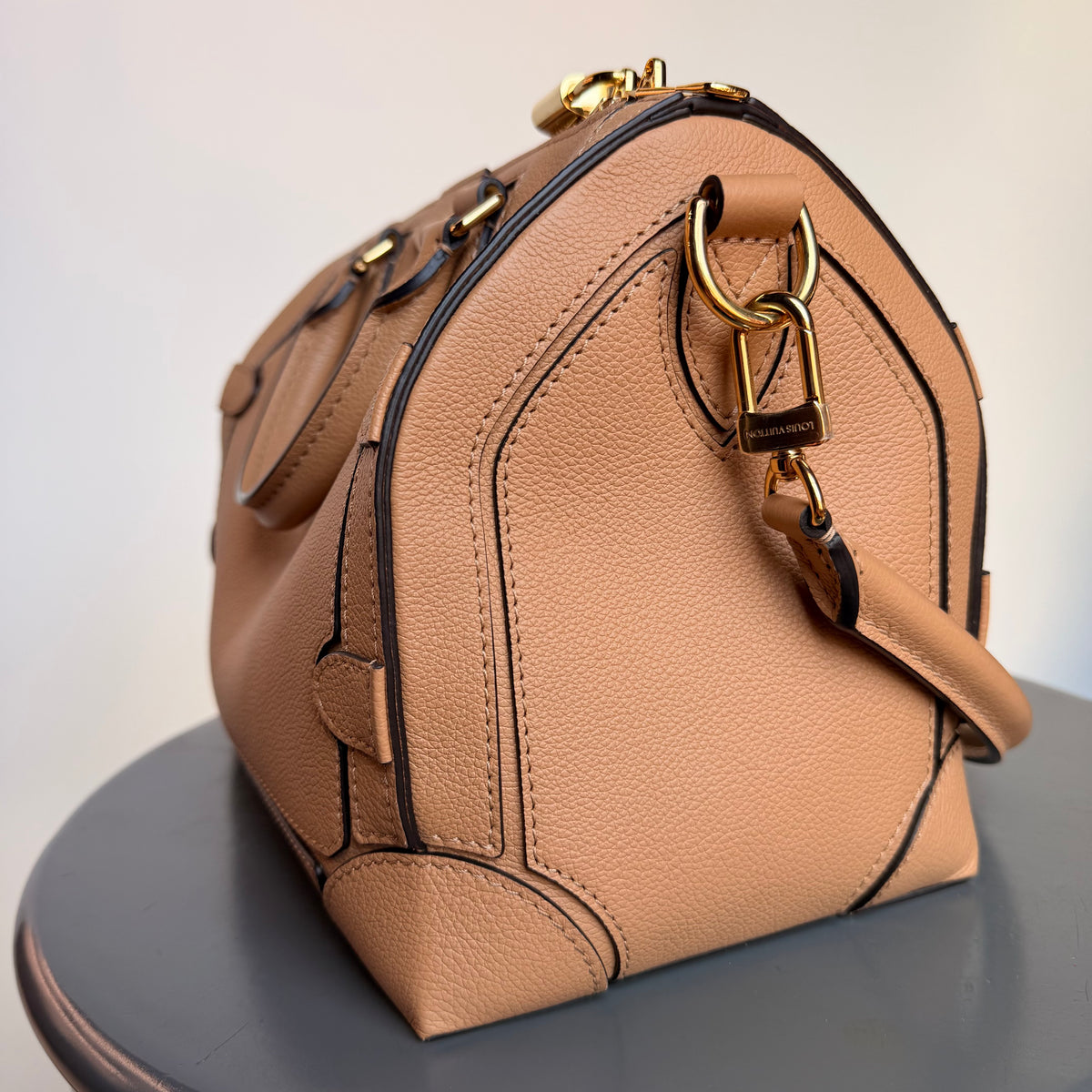 Louis Vuitton Speedy 25 Silhouette