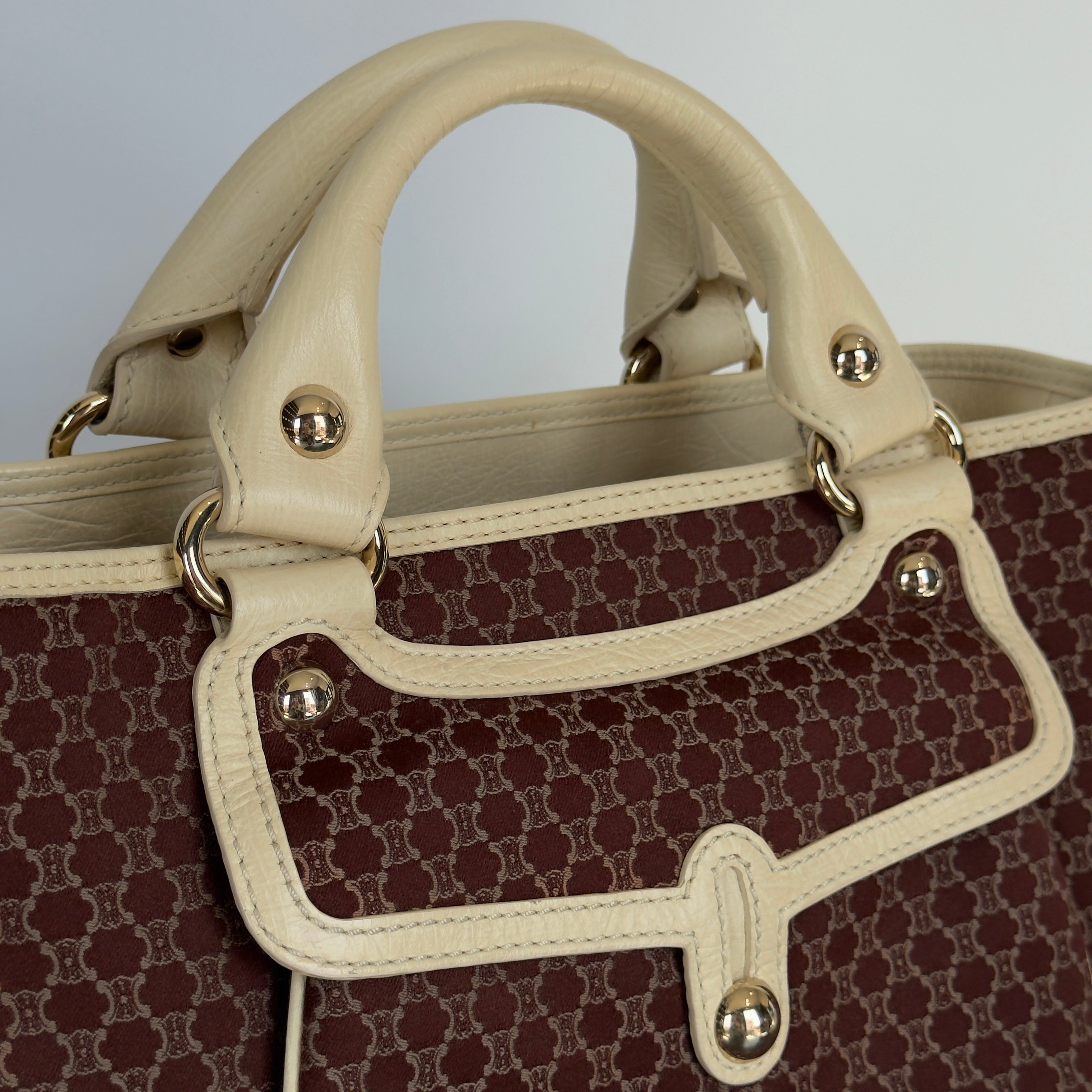 Celine Triomphe Canvas Boogie Bag