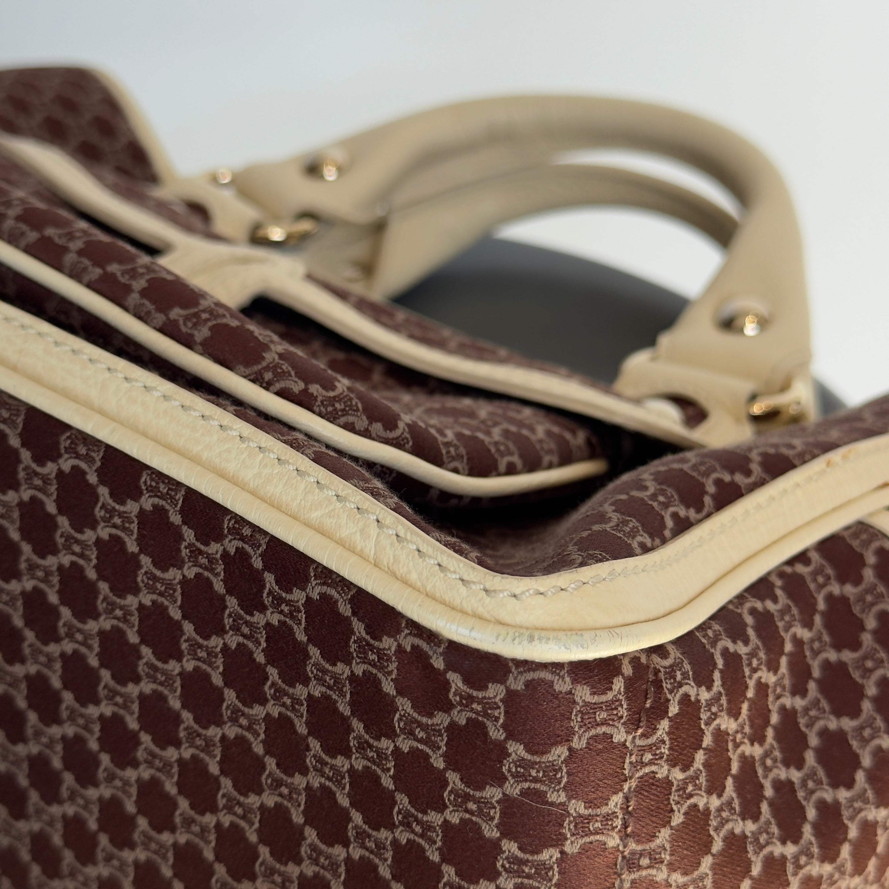 Celine Triomphe Canvas Boogie Bag