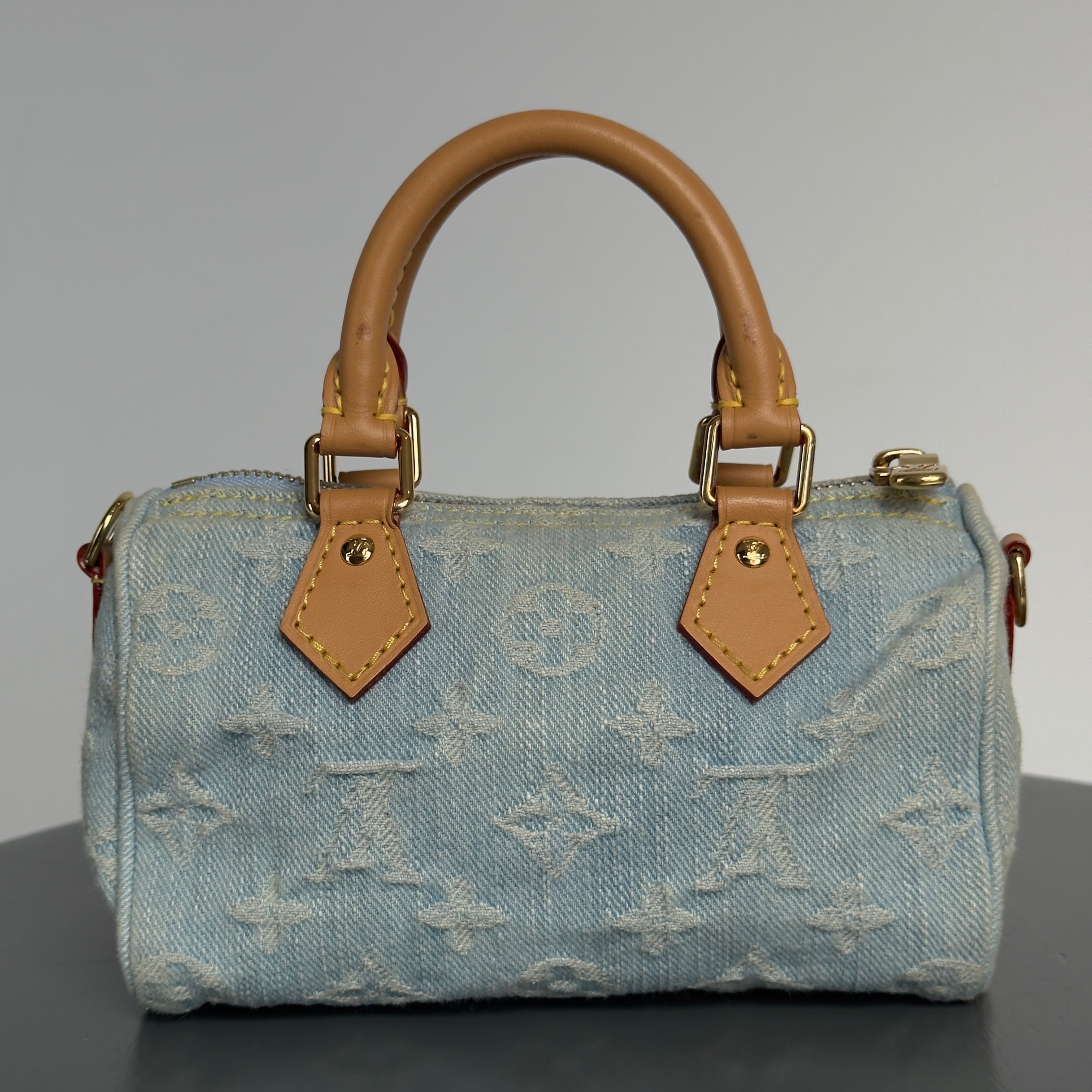 Louis Vuitton Denim Monogram Speedy Nano