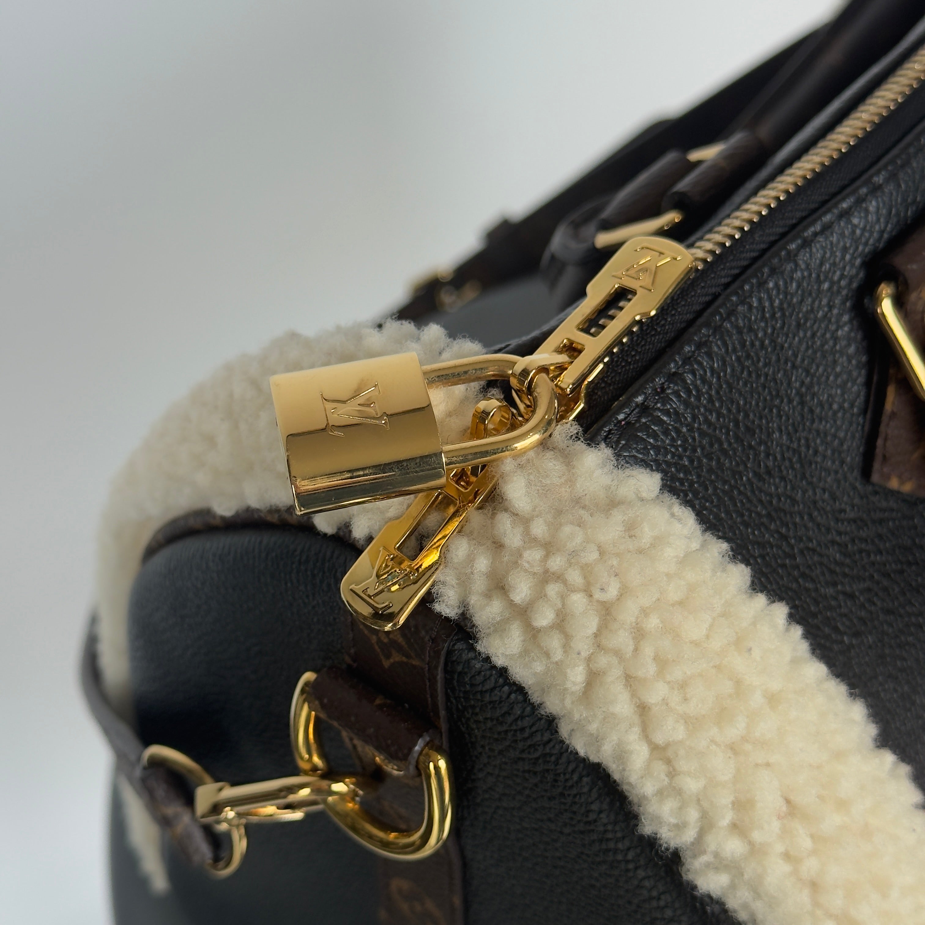 Louis Vuitton Teddy Speedy 30 - Queen May