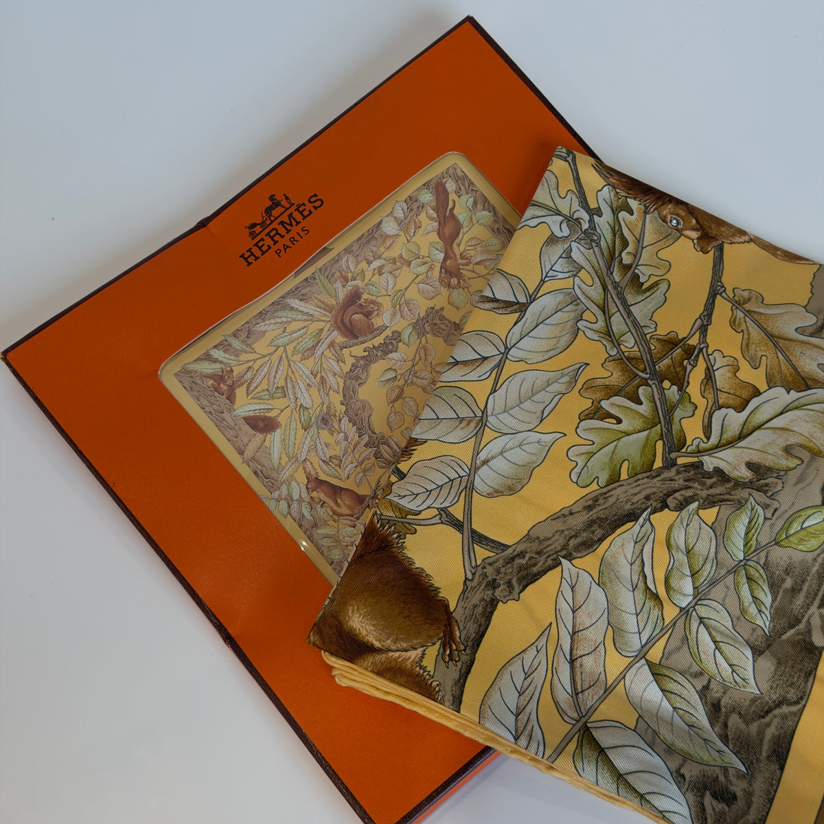 Rare Hermes Carré 90 Casse-Noisette Silk Scarf