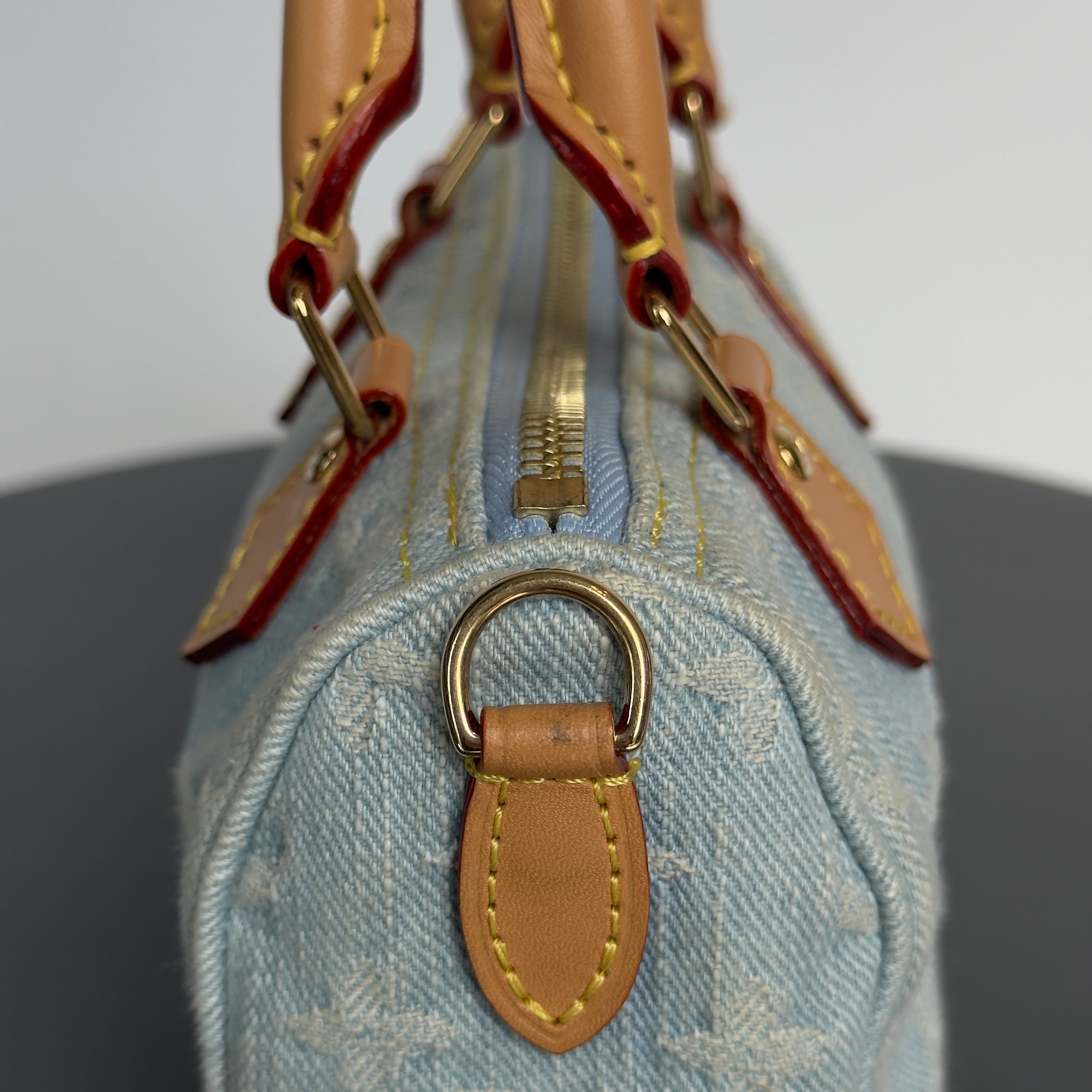 Louis Vuitton Denim Monogram Speedy Nano
