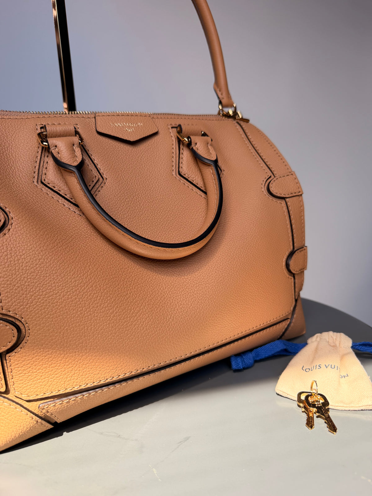 Louis Vuitton Speedy 25 Silhouette