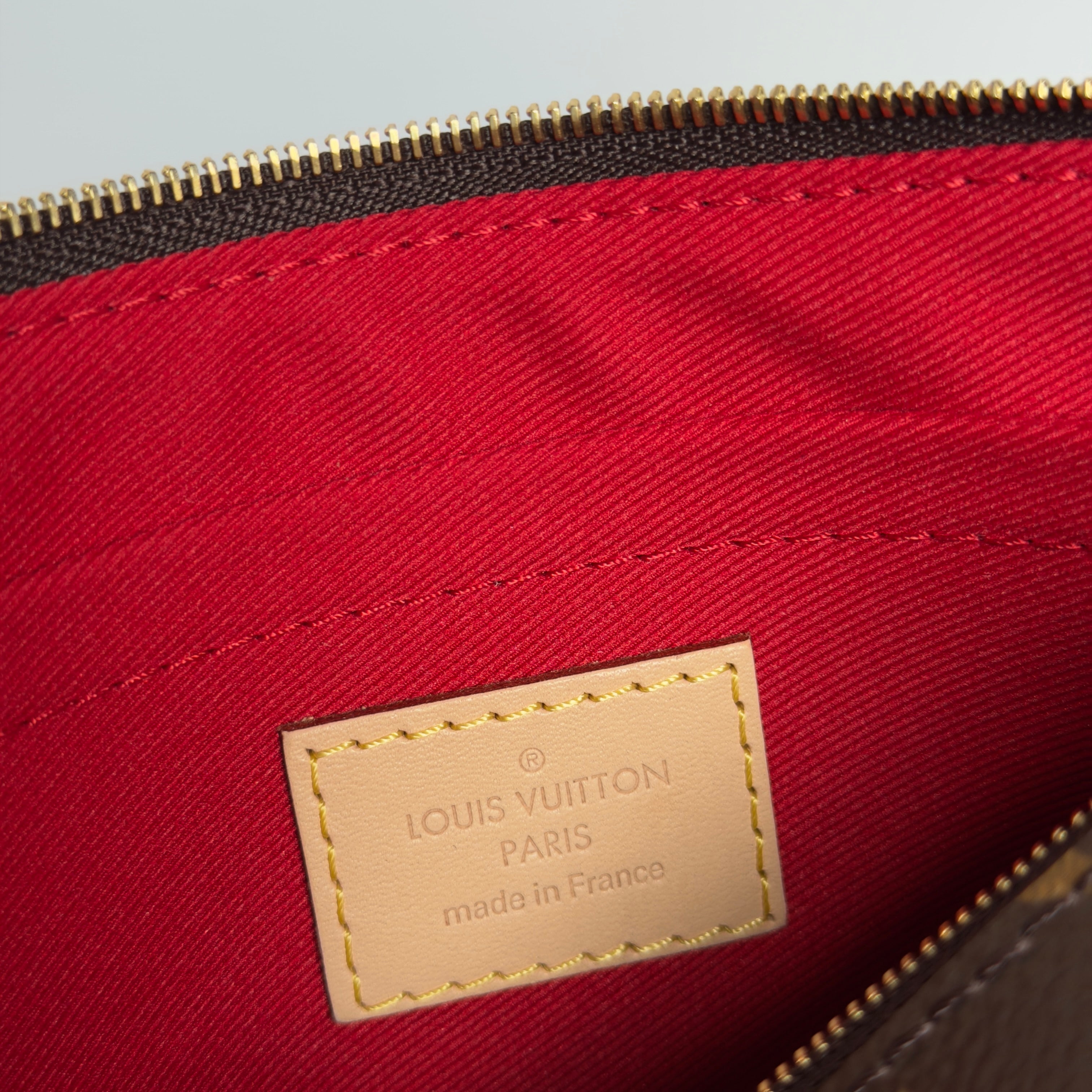 Louis Vuitton Monogram Neverfull Pochette