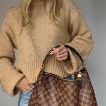 Louis Vuitton Damier Ebene Delightful Handbag - Queen May