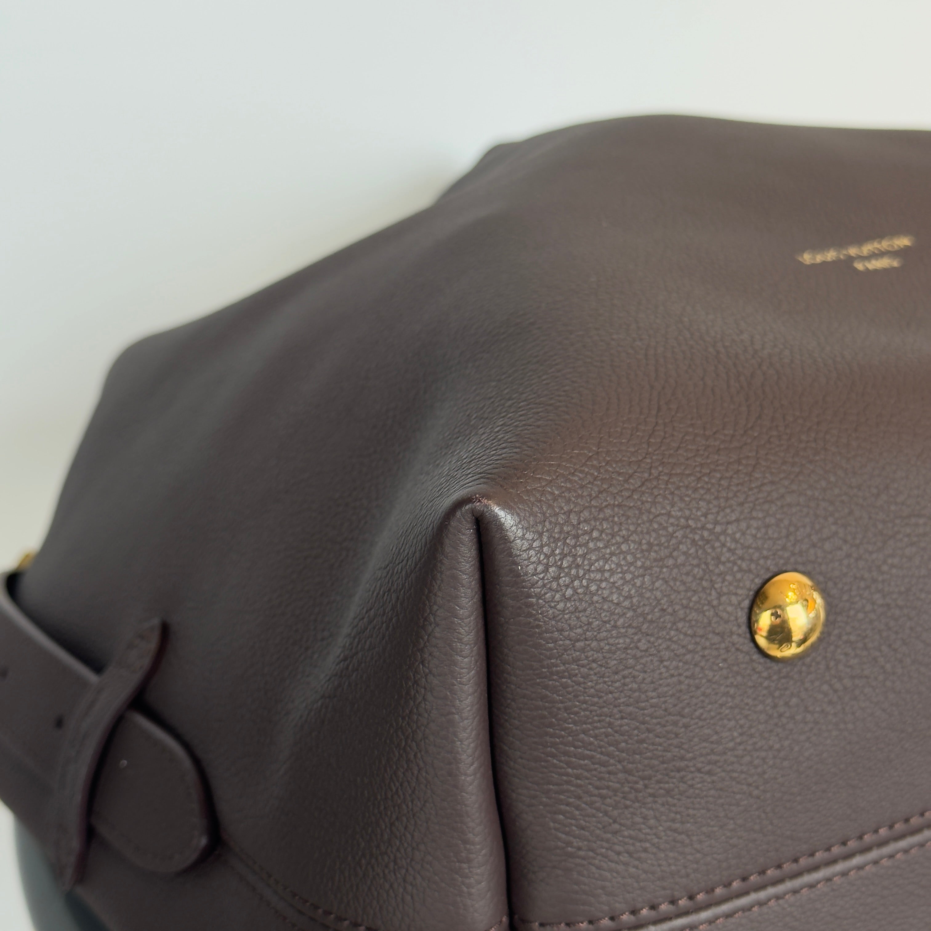 Louis Vuitton Hobo MM Wine - Queen May