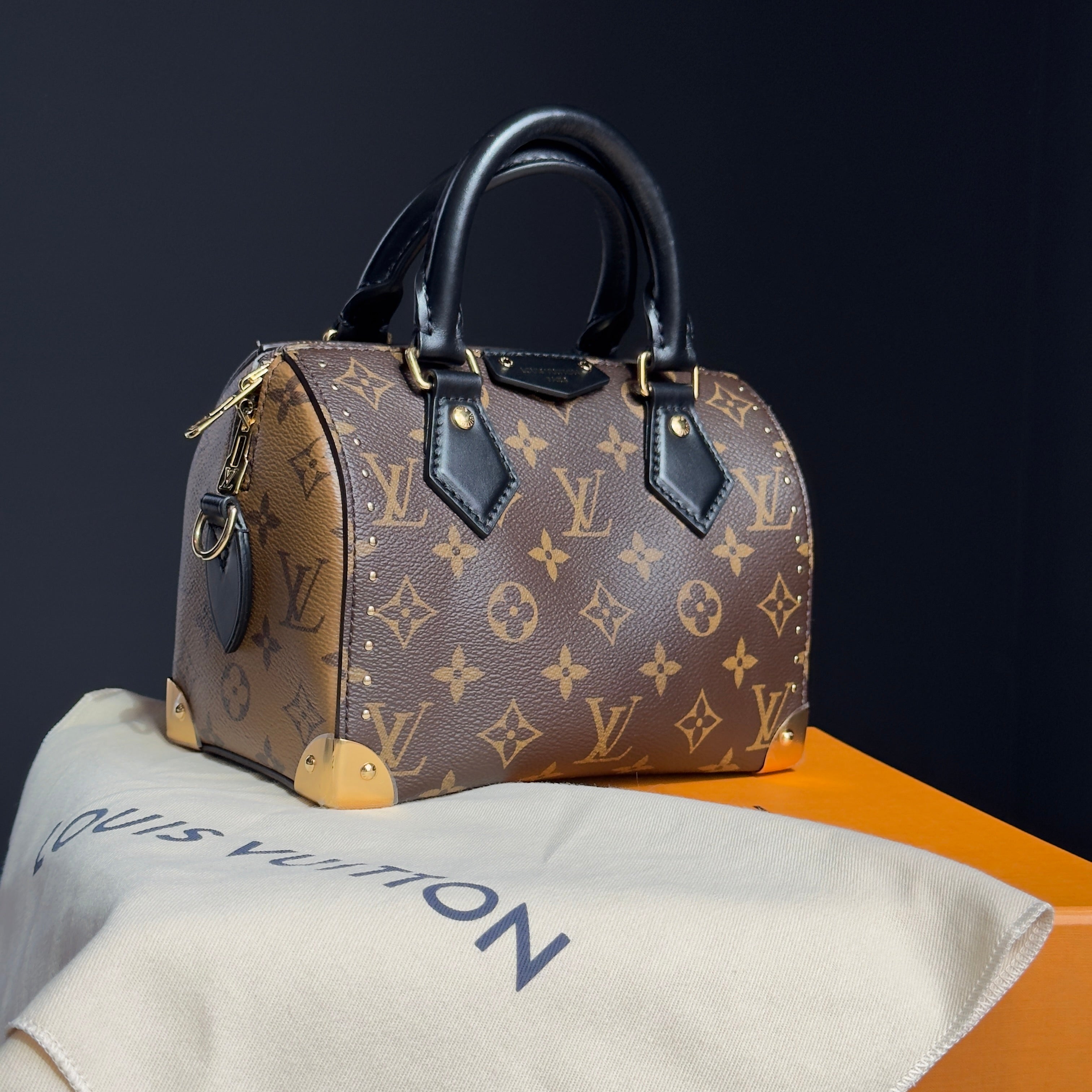 Louis Vuitton Speedy Trunk 20 - Queen May