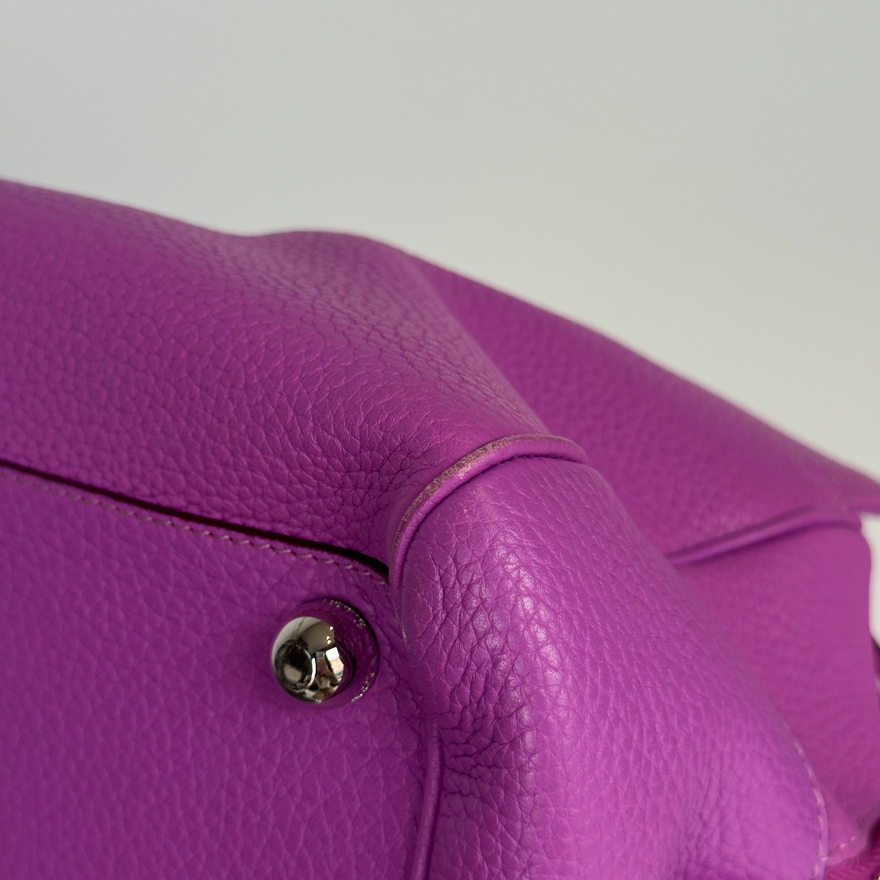 Loewe Fuchsia Amazona Bag - Queen May