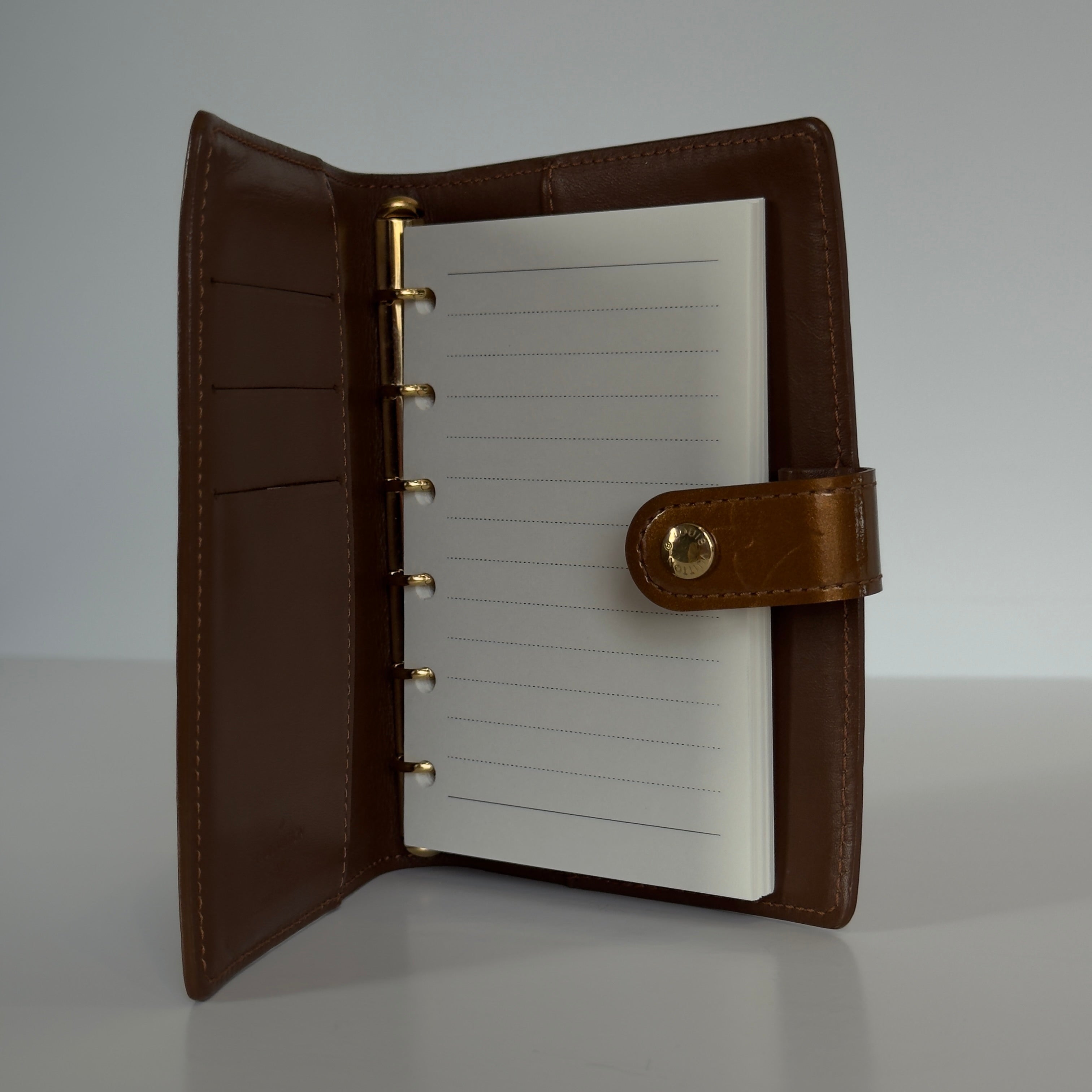Louis Vuitton Vernis Agenda Cover - Queen May