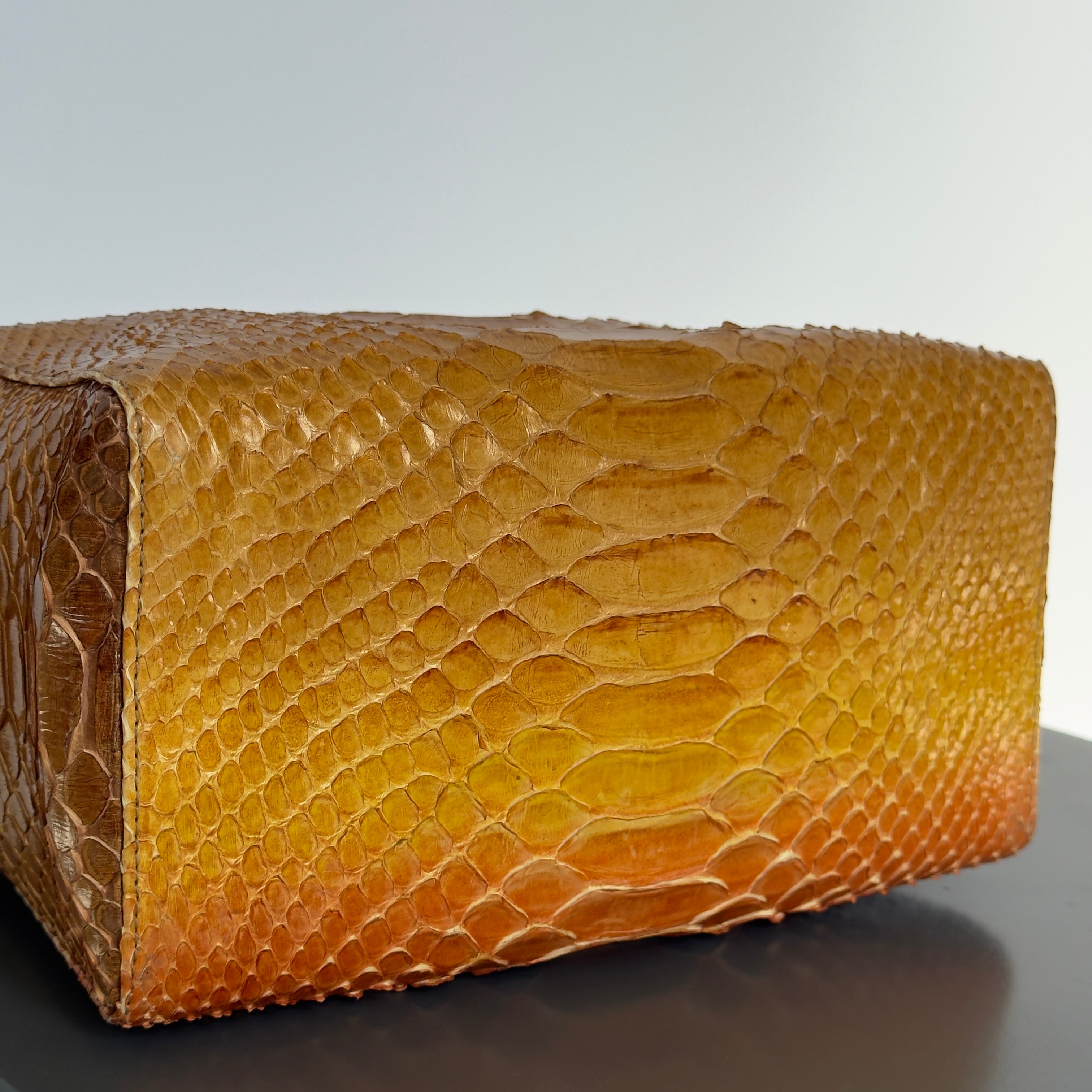 Rare Vintage Fendi Python Bento Box - Queen May