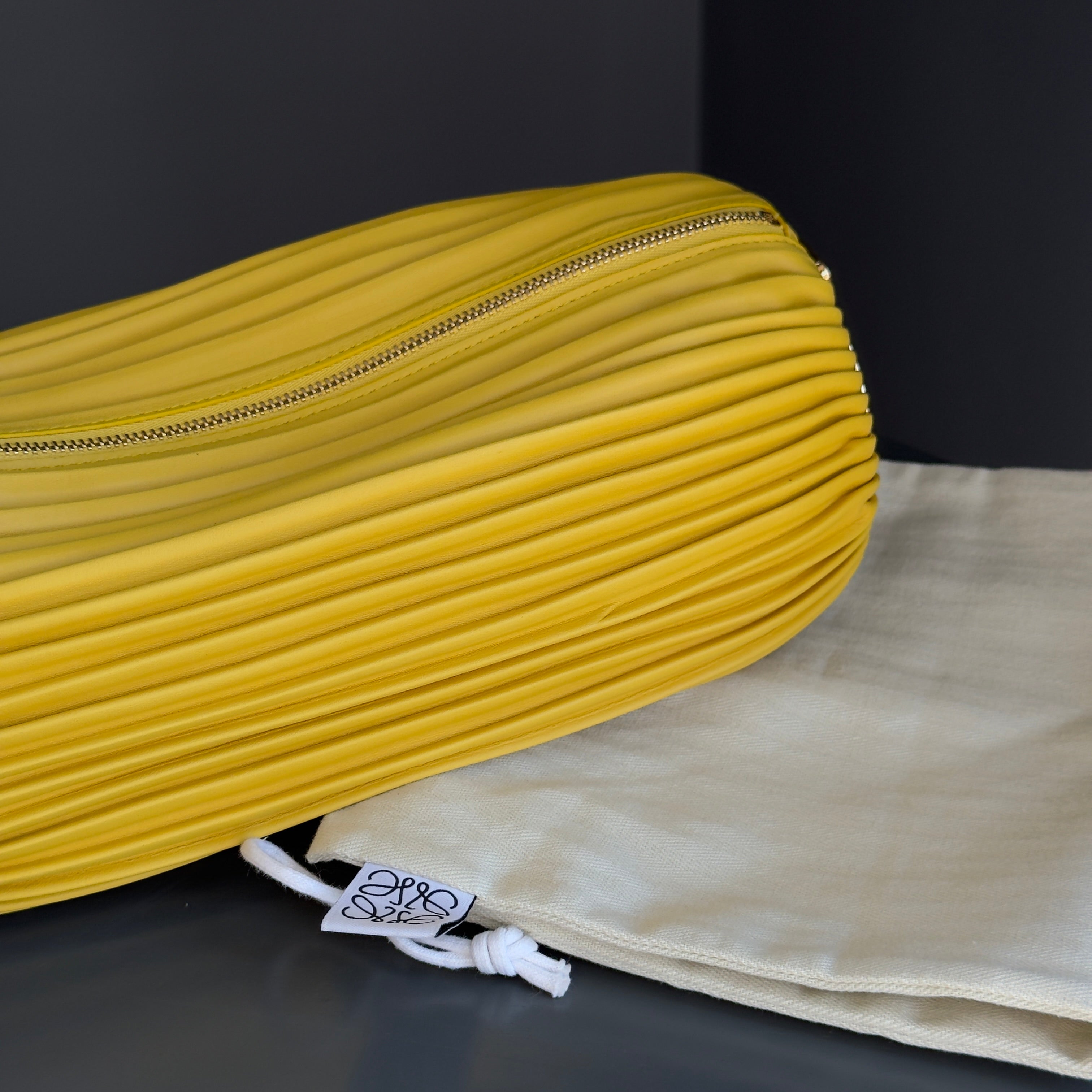 Loewe Brazalete Amarillo Bracelet Pouch - Queen May