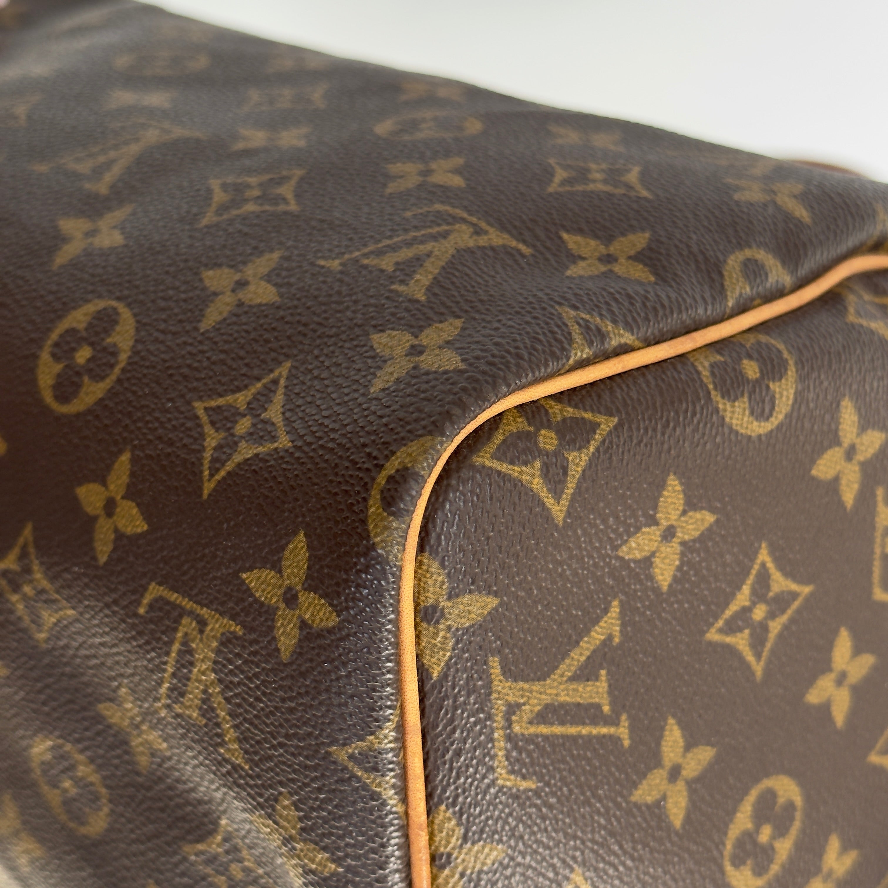 Louis Vuitton Monogram Speedy 30 - Queen May
