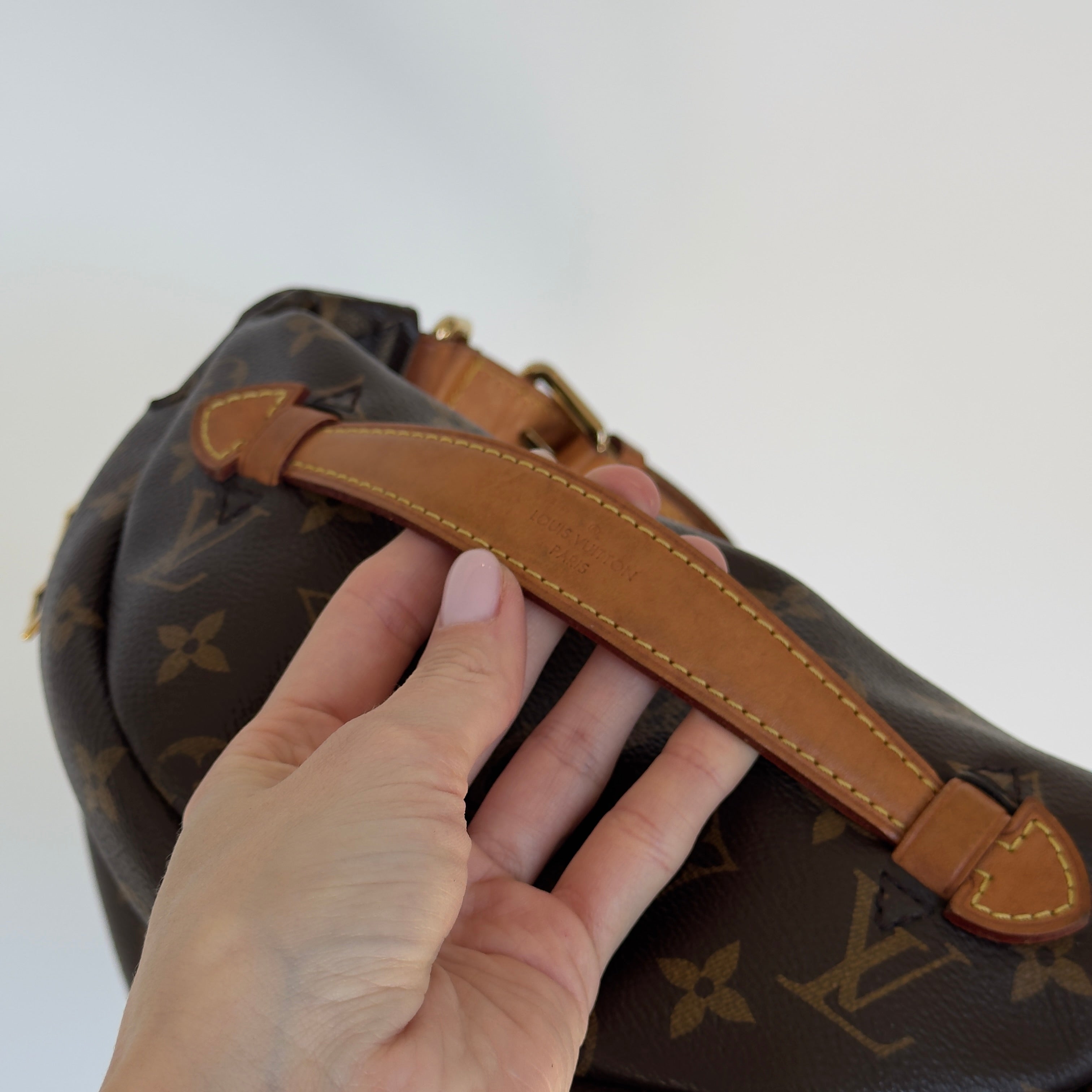 Louis Vuitton Monogram Bum Bag - Queen May
