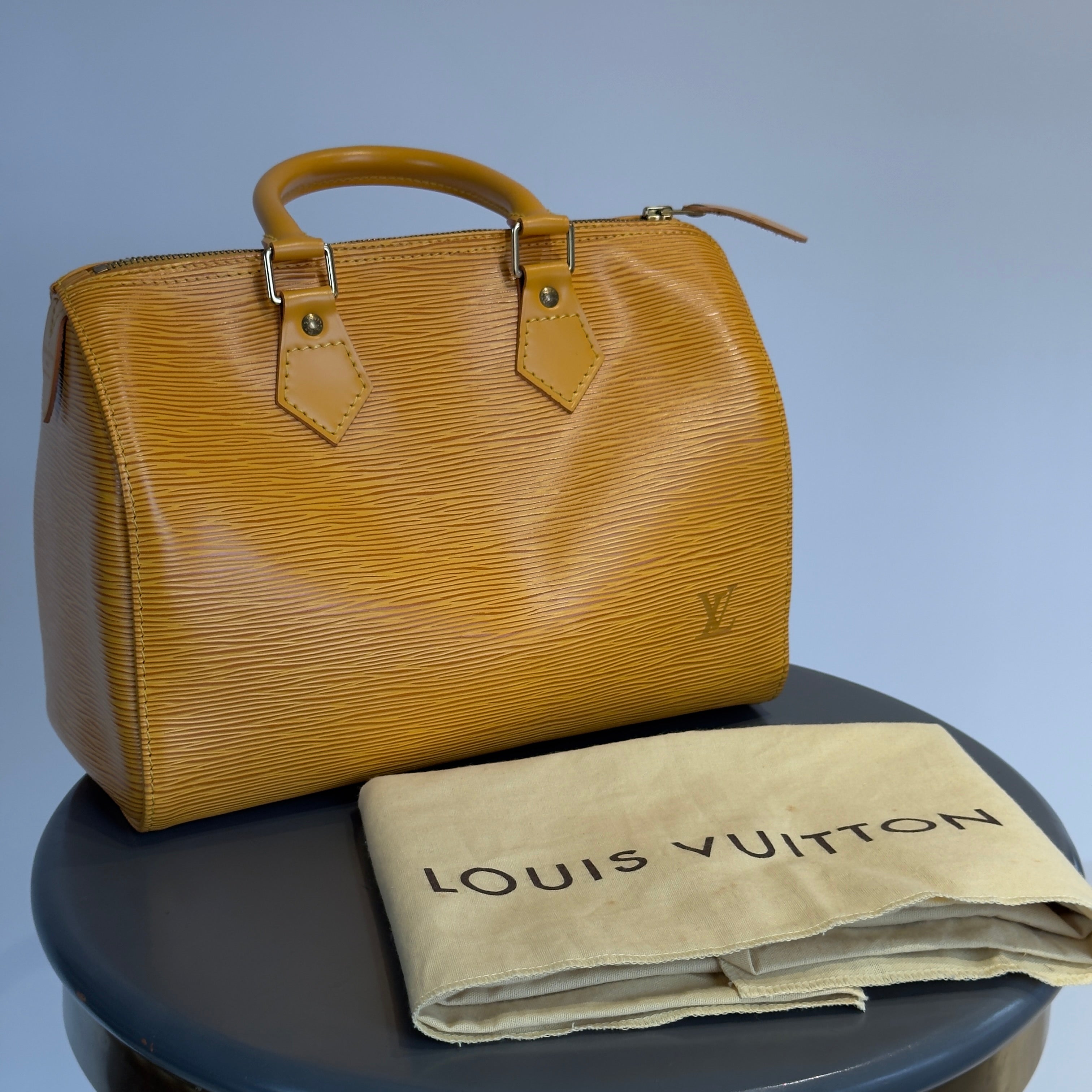 Louis Vuitton Epi Leather Speedy 25 - Queen May