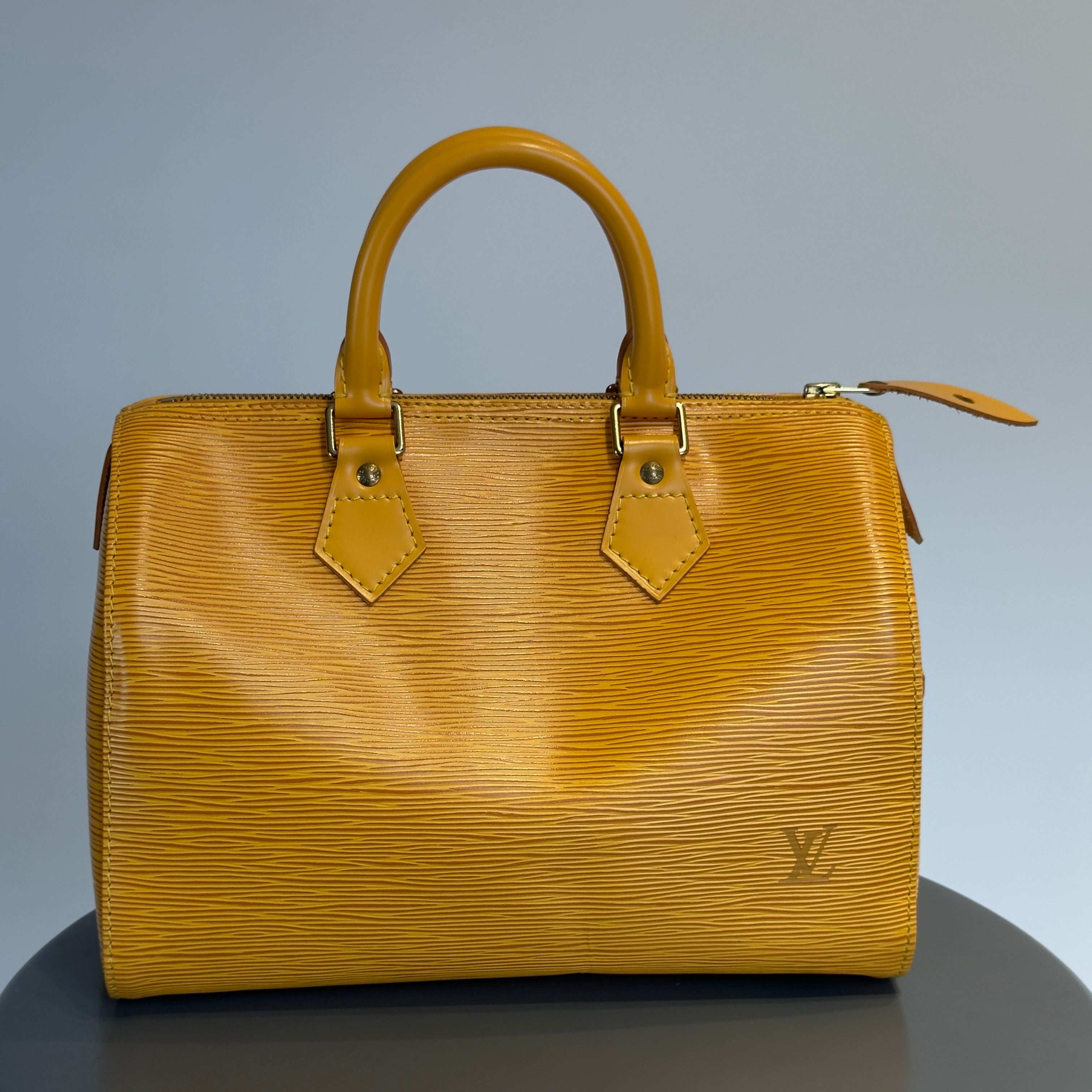 Louis Vuitton Epi Leather Speedy 25 - Queen May