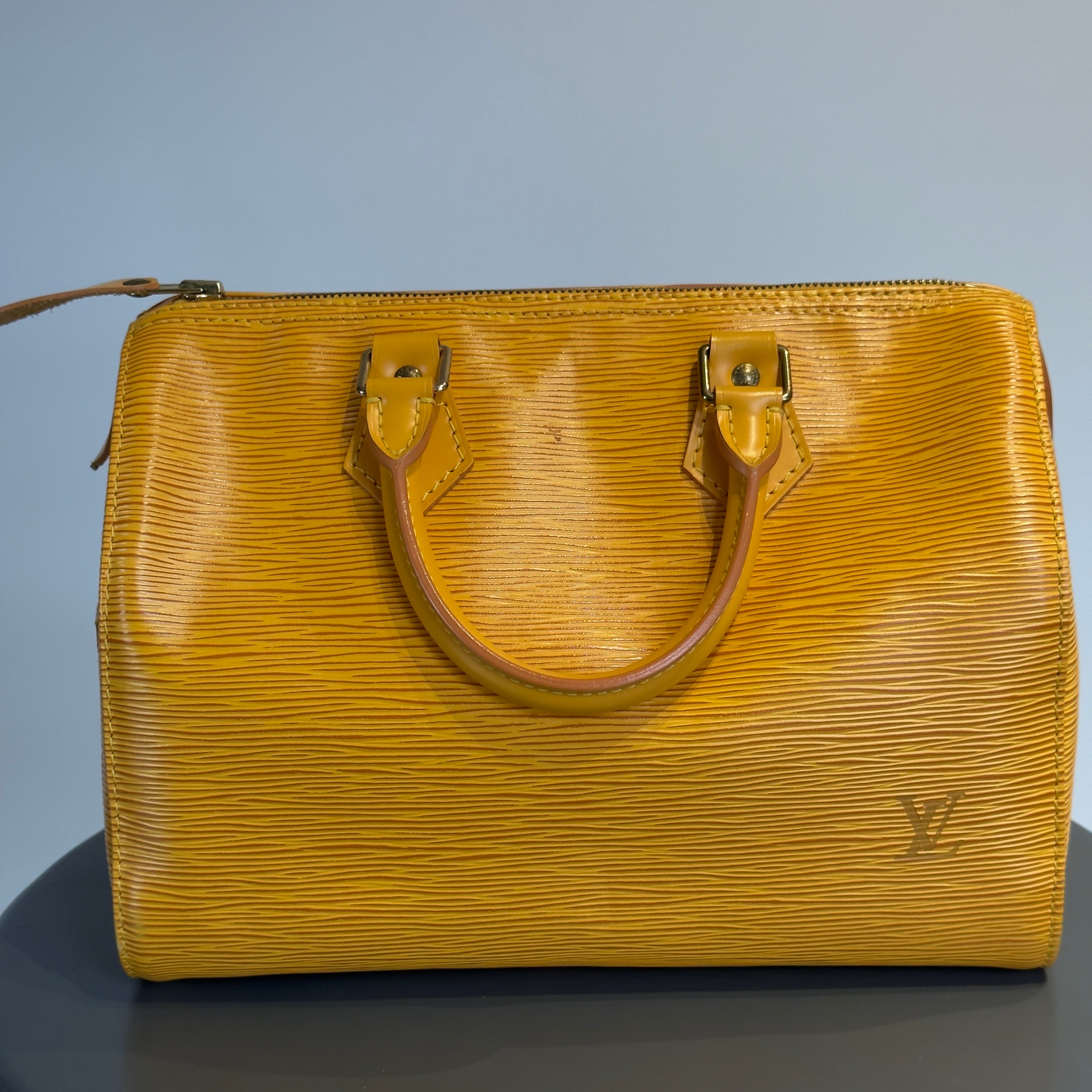 Louis Vuitton Epi Leather Speedy 25 - Queen May