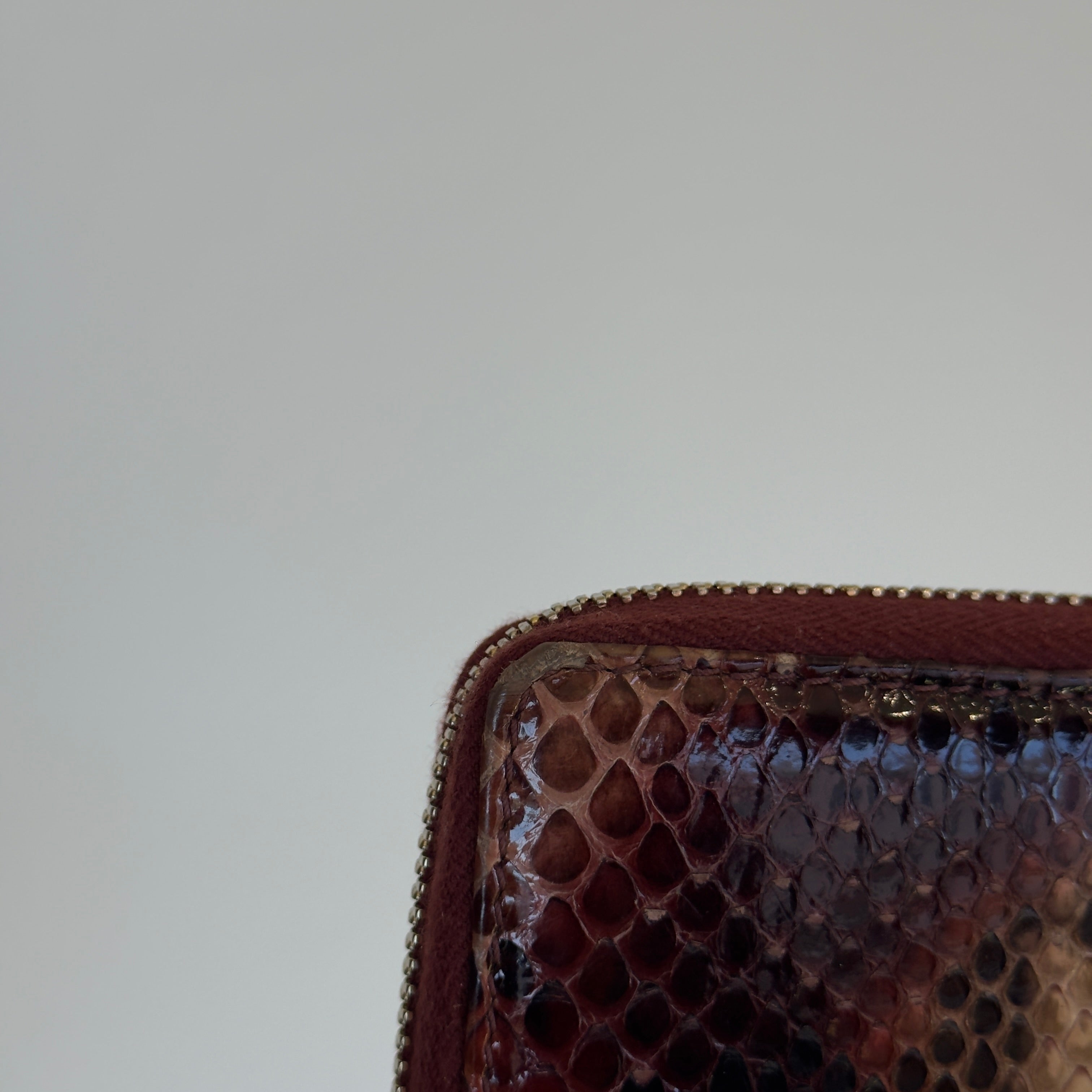 Gucci Python Soho Interlocking G Logo Wallet - Queen May