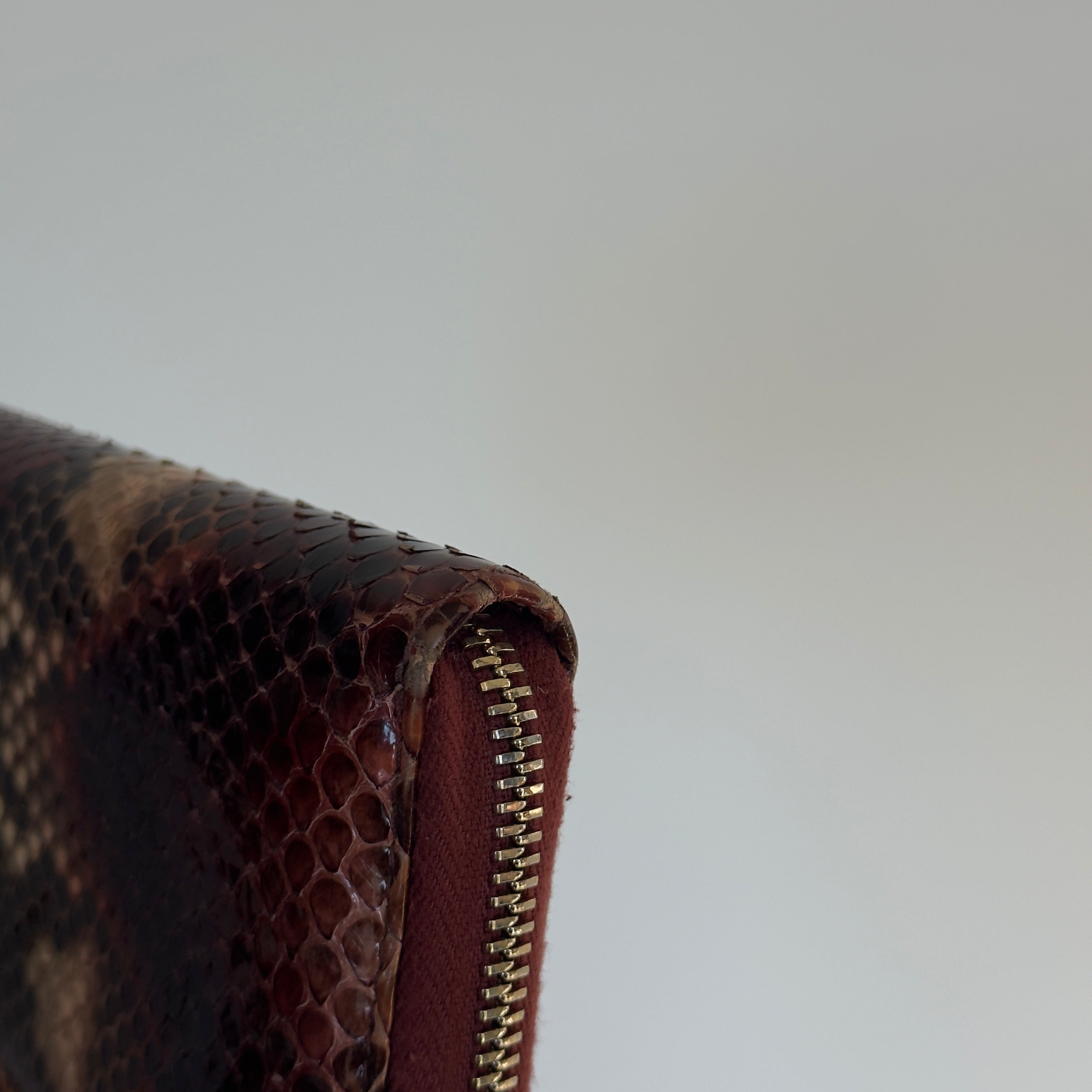 Gucci Python Soho Interlocking G Logo Wallet - Queen May