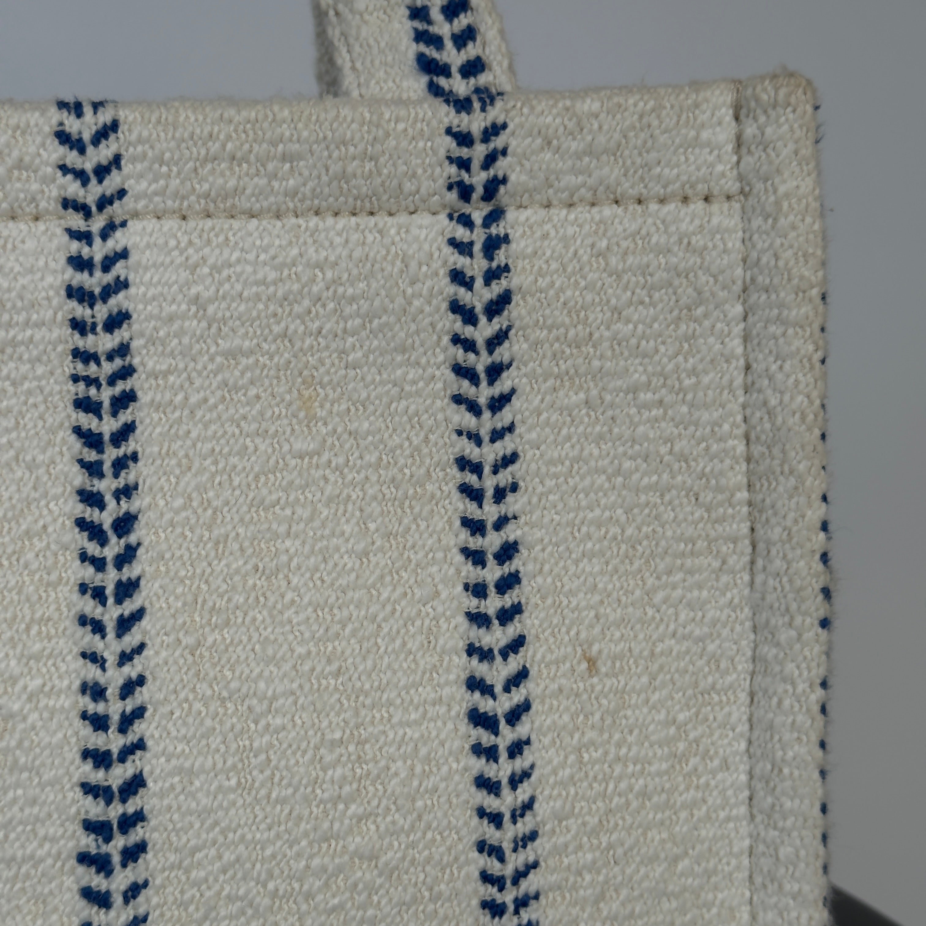 Celine Canvas Calfskin Stripe Triomphe Small Cabas White Blue - Queen May