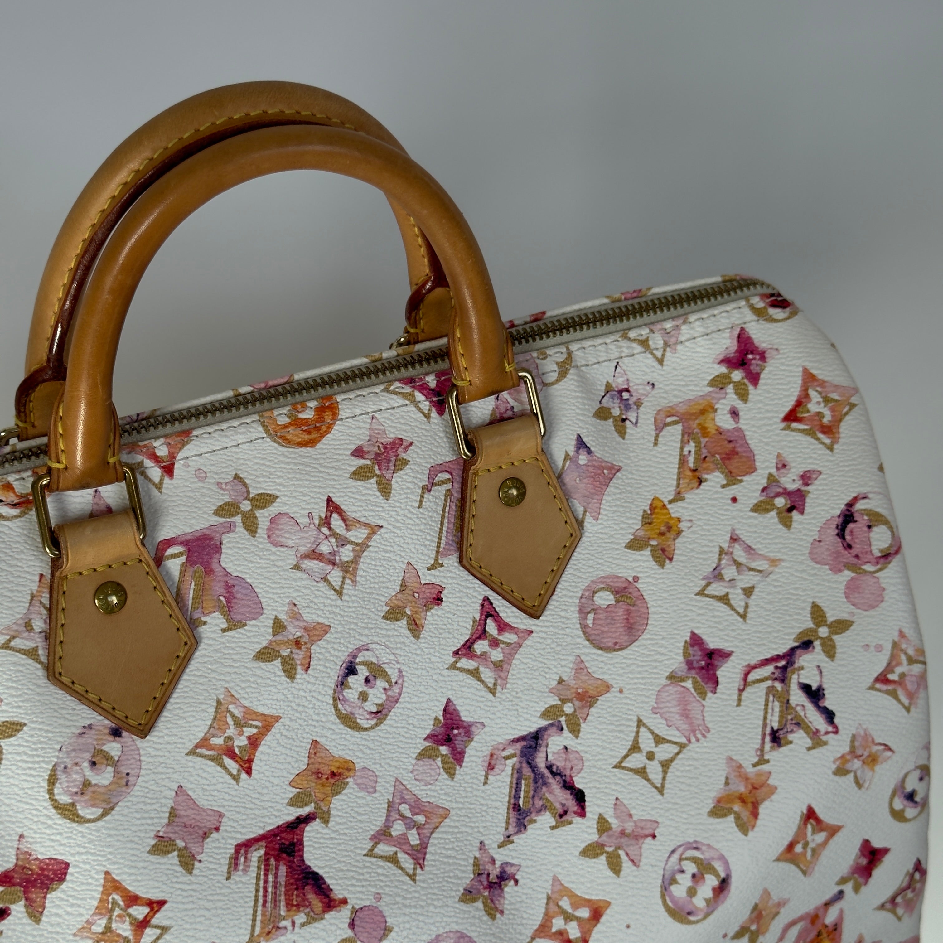 Louis Vuitton x Richard Prince Speedy Monogram Watercolor 35 - Queen May