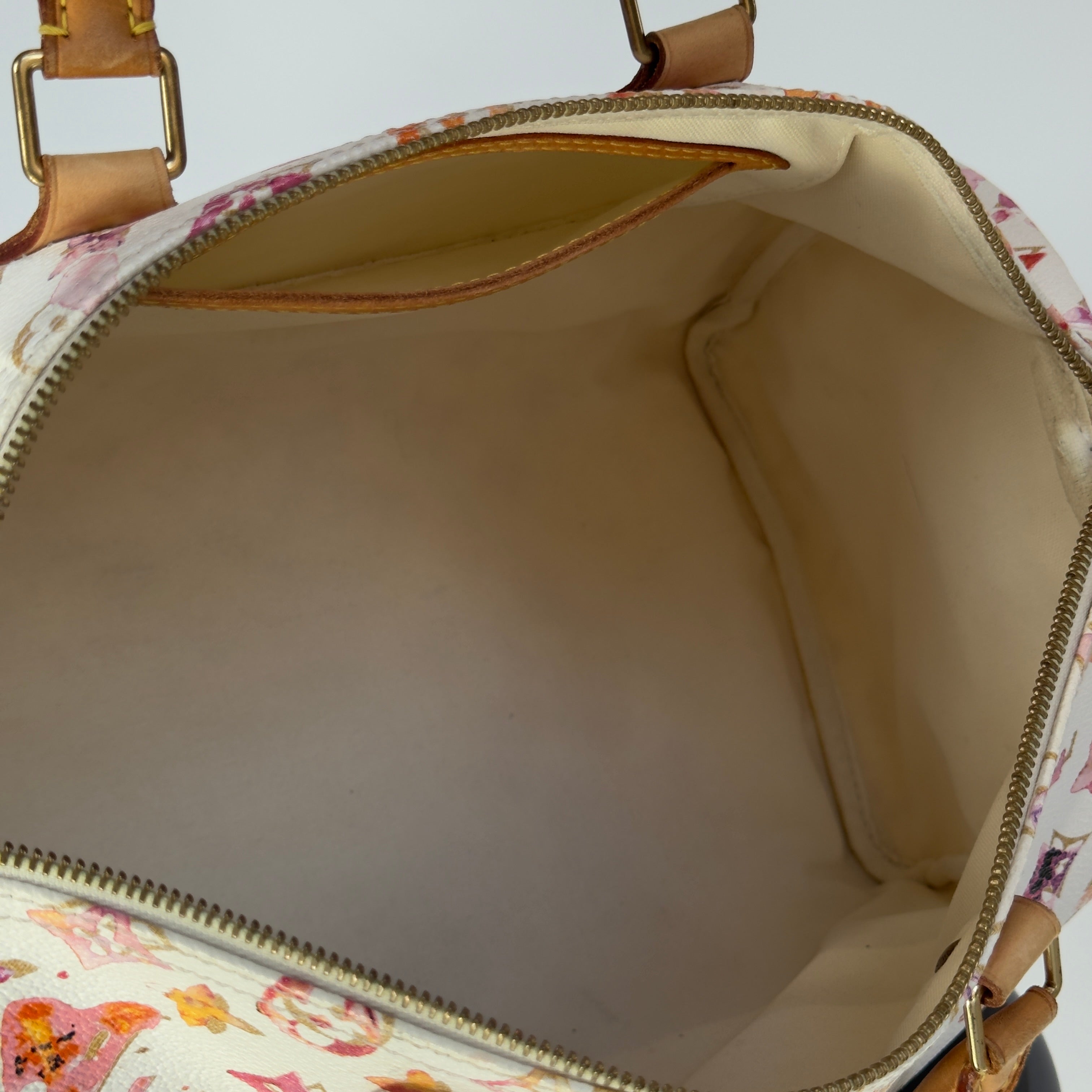 Louis Vuitton x Richard Prince Speedy Monogram Watercolor 35 - Queen May