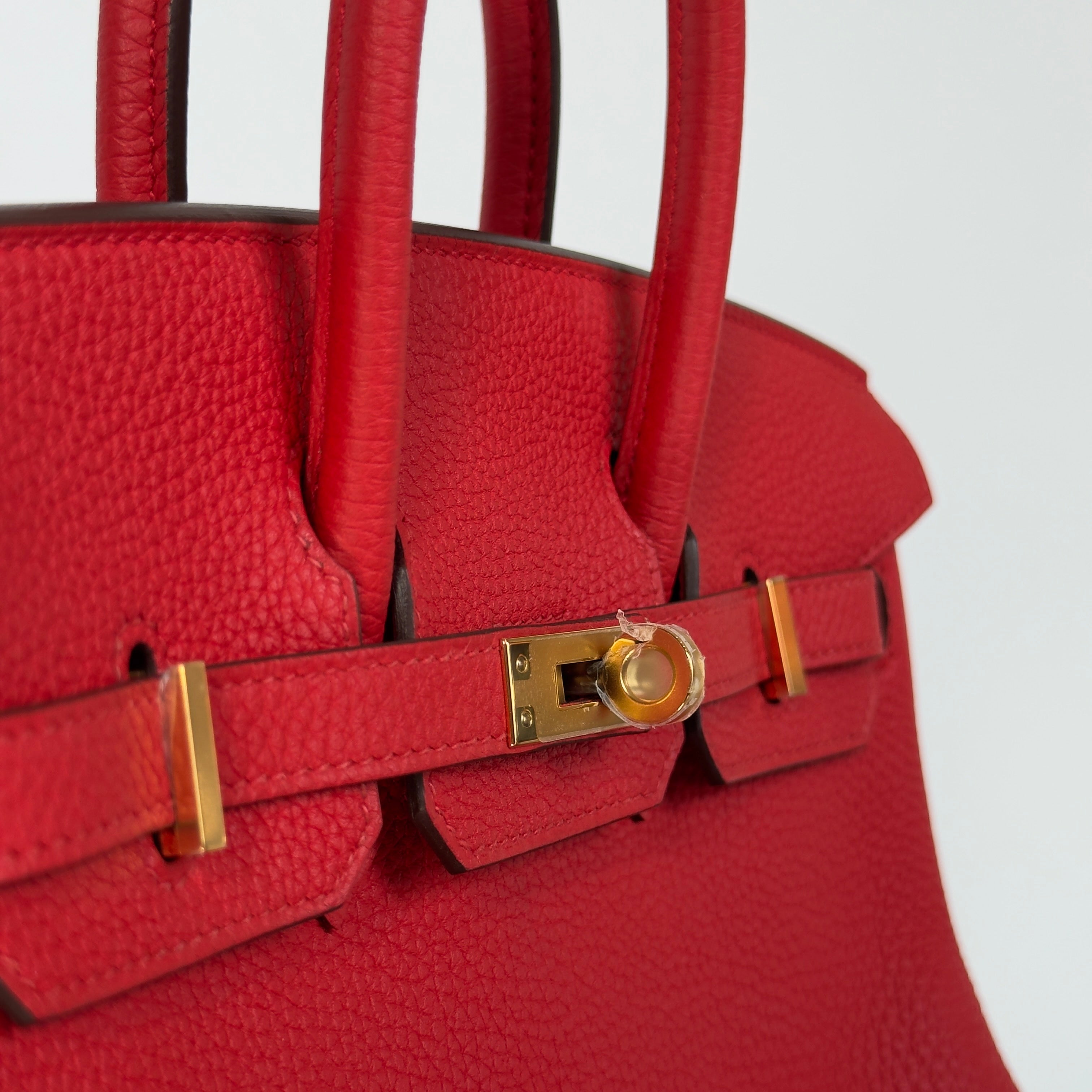 Hermes Birkin 25 Rouge De Coeur Togo Gold Toned Hardware - Queen May